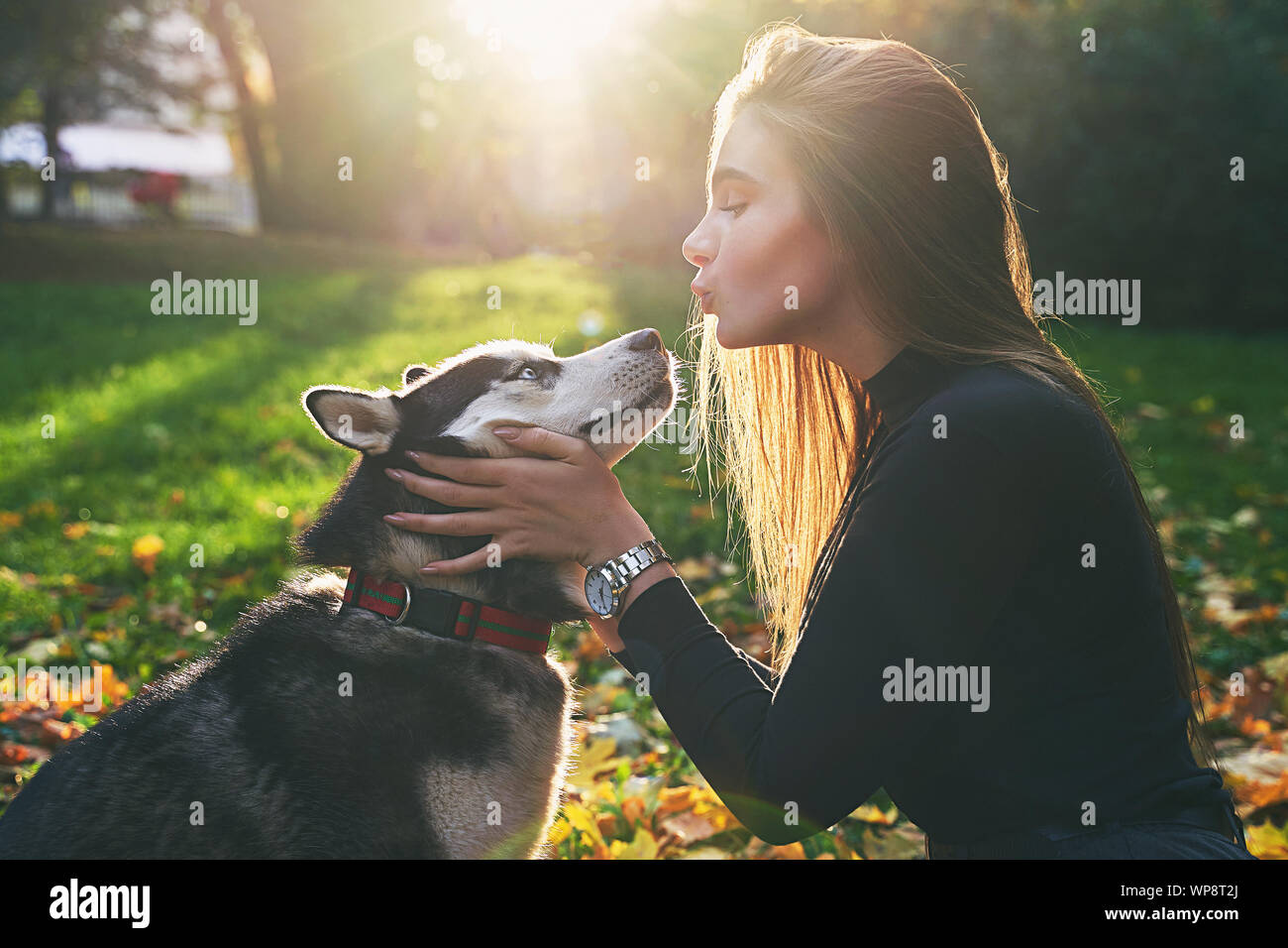 Hermosa joven jugando con su lindo perro husky pet en otoño parque cubierto con hojas caídas rojas y amarillas Foto de stock