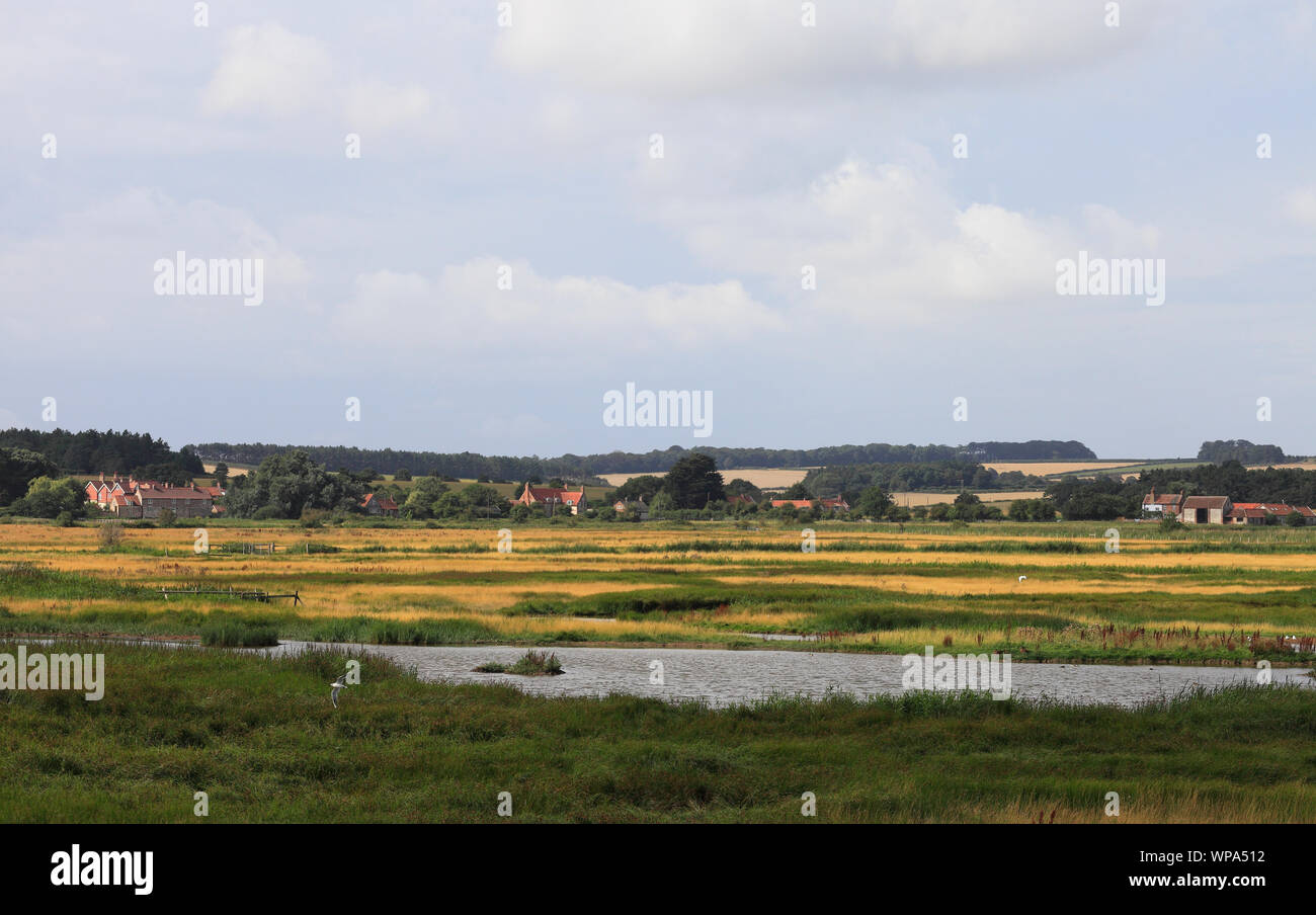 Pantanos de pastoreo en Burnham Norton visto desde Burnham Overy en el norte de Norfolk. Foto de stock
