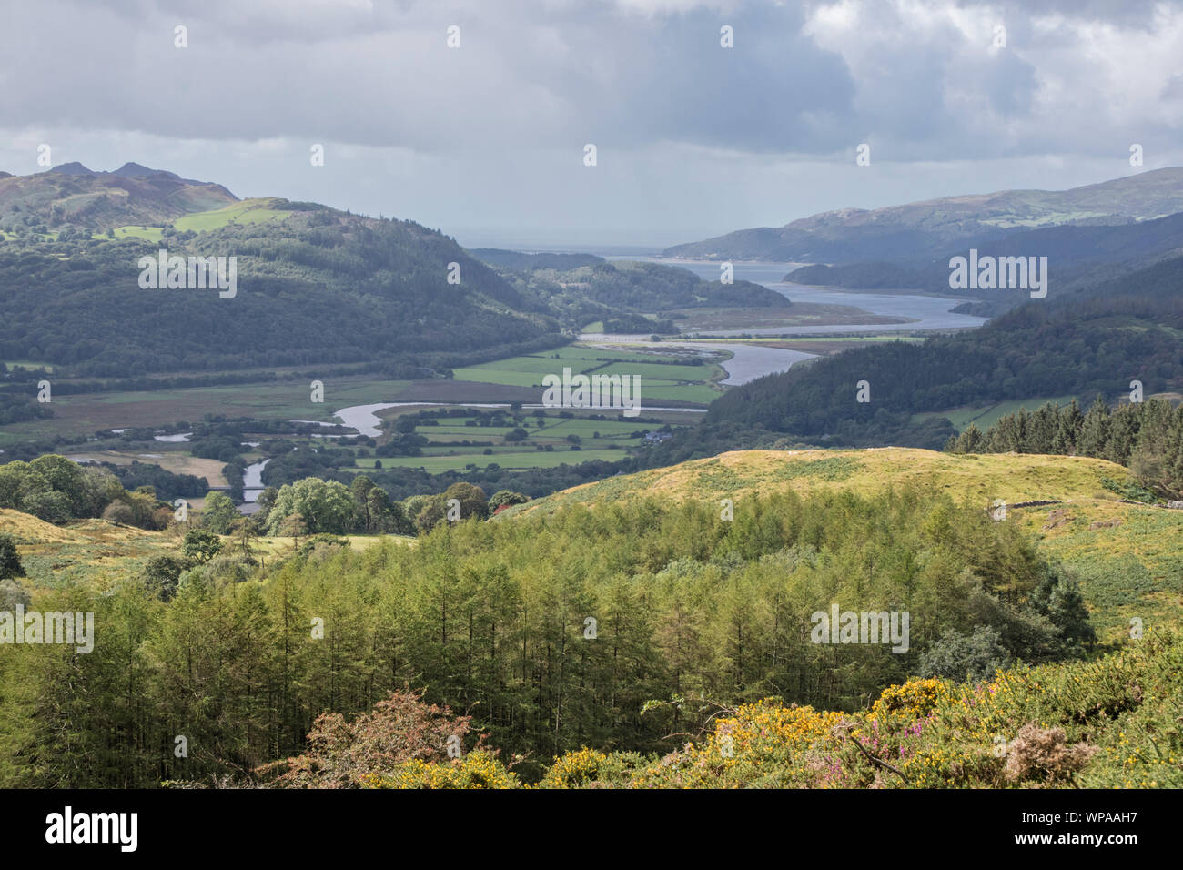 Una vista del estuario Mawddach desde el precipicio caminando, el Parque Nacional de Snowdonia, North Wales, REINO UNIDO Foto de stock