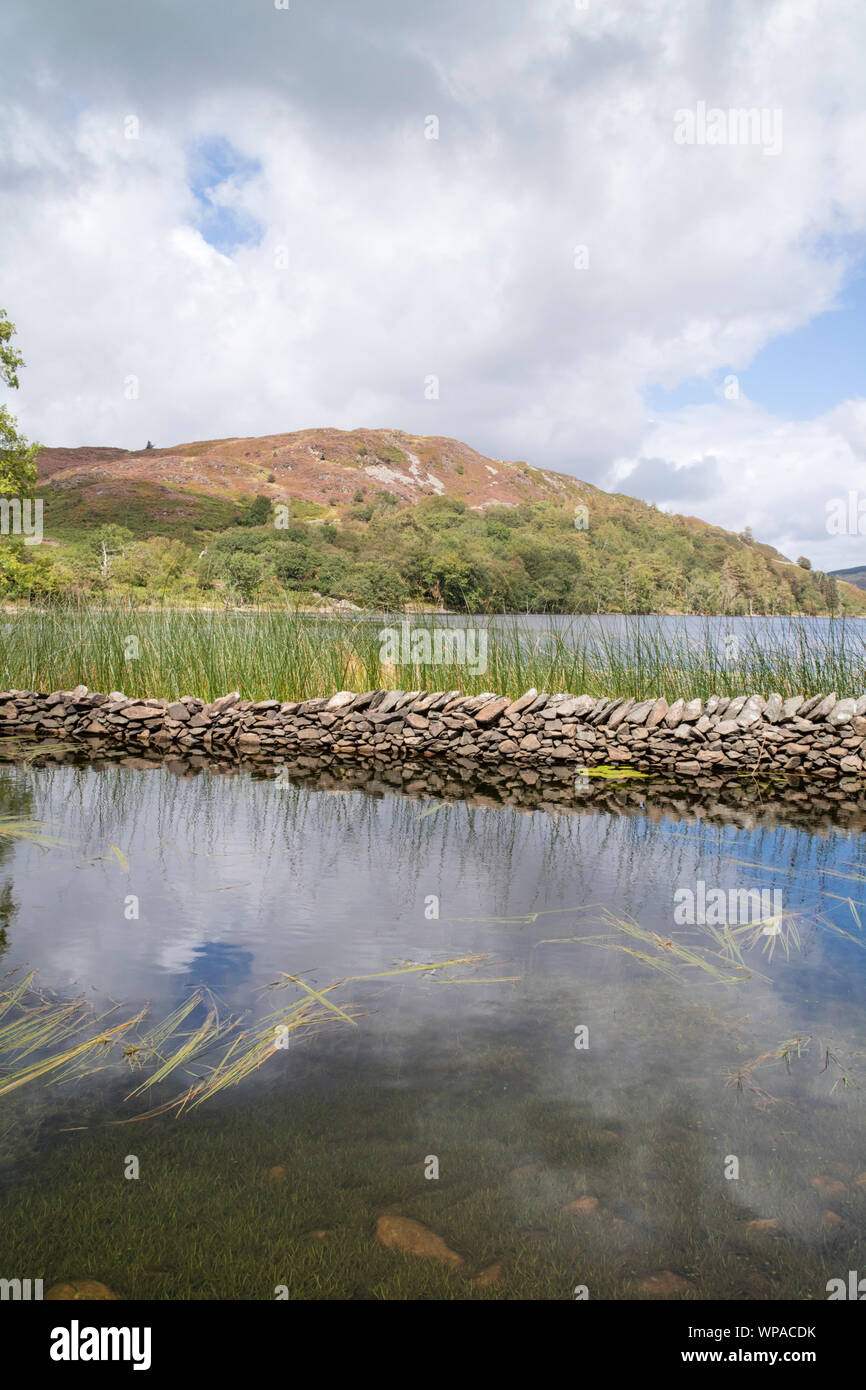 Llyn Cynwch lago en el precipicio popular paseo, el Parque Nacional de Snowdonia, North Wales, REINO UNIDO Foto de stock