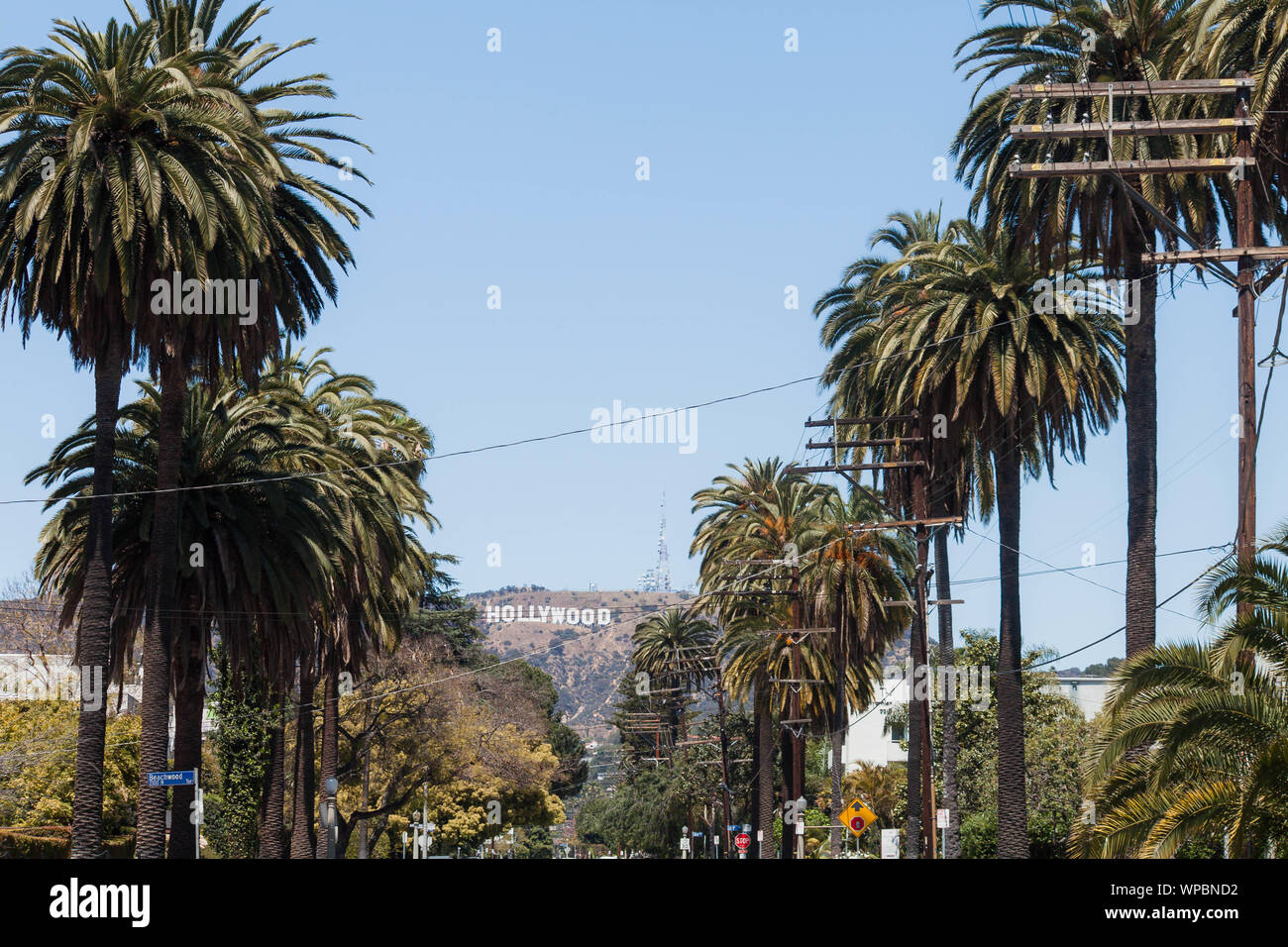 Línea de árboles conduce al cartel de Hollywood en Los Angeles Foto de stock