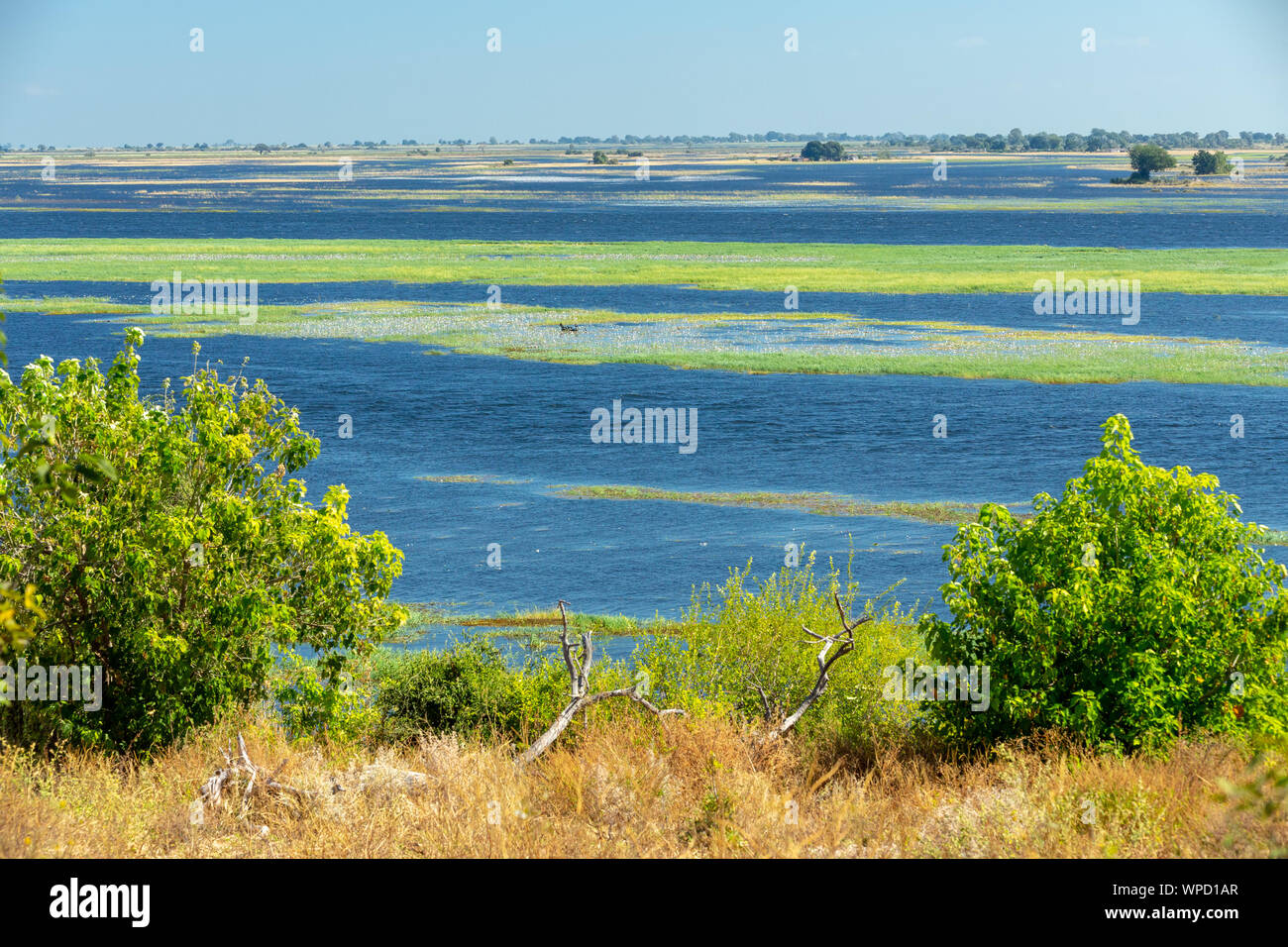 El pintoresco paisaje del río Chobe en Botswana. África desierto Foto de stock