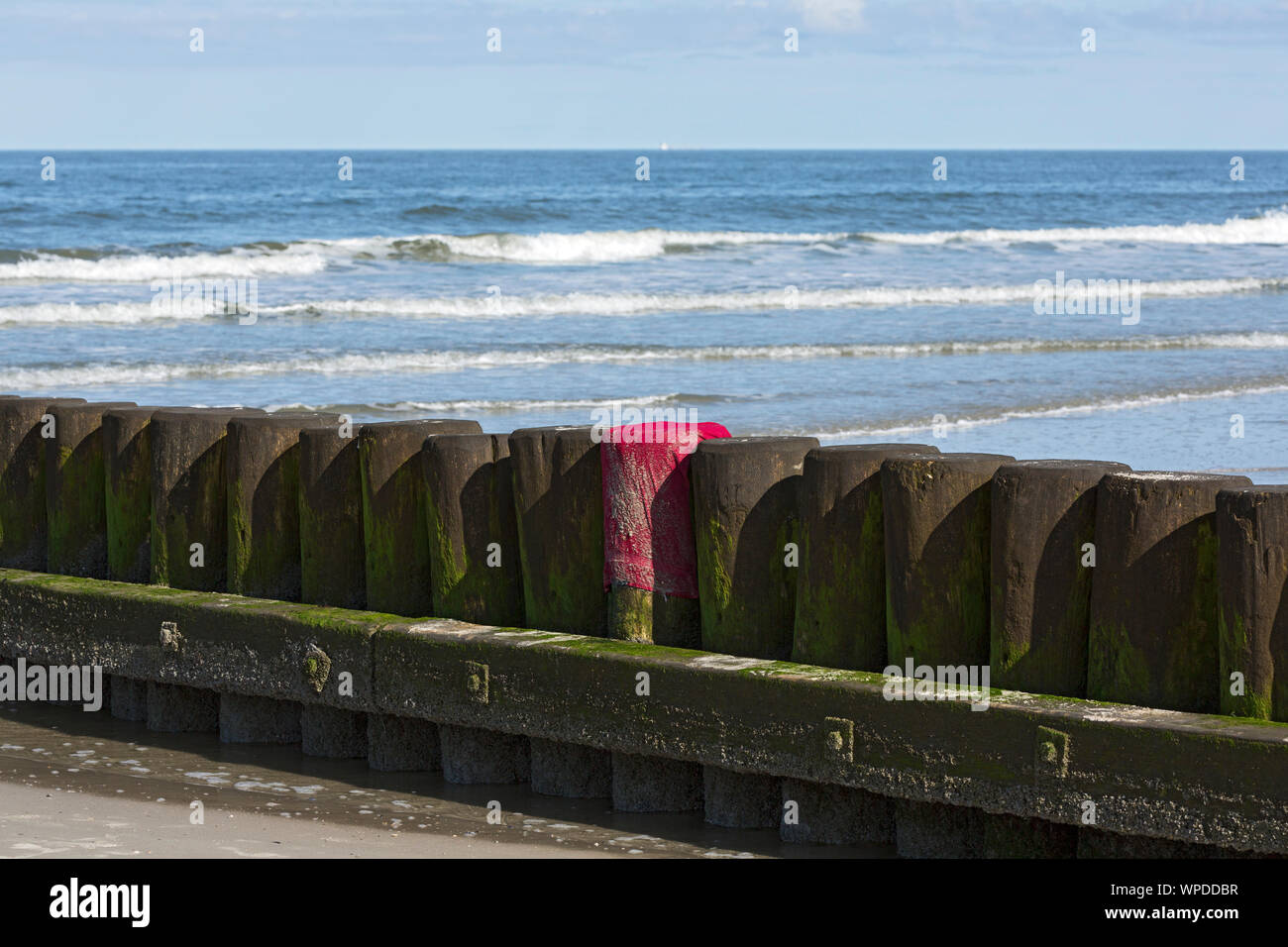 Norderney, Nordstrand, Strand, Meer, Holzbune, Dünung, Wasser, Wellen Foto de stock