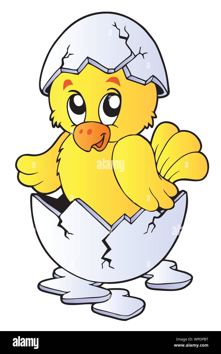 Lindo pollo en cáscara de huevo roto Imagen Vector de stock - Alamy