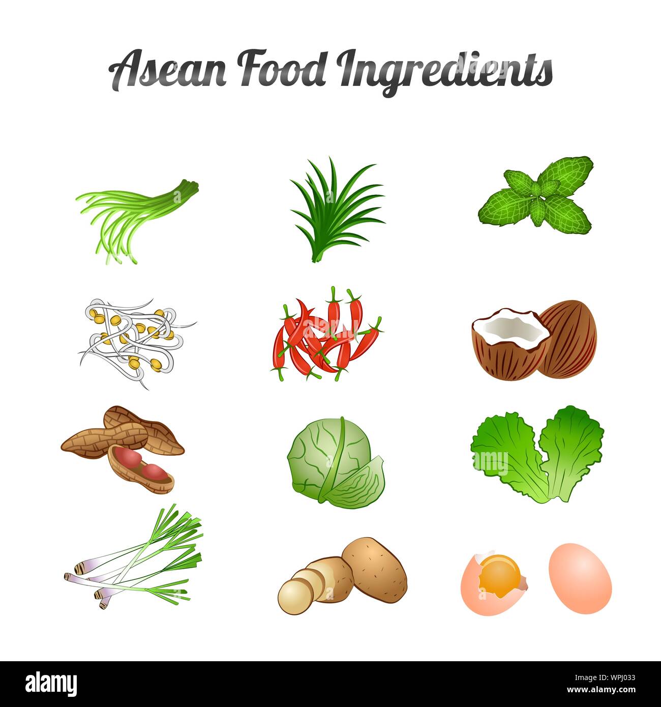 La ASEAN ingredientes alimentarios del conjunto incluyen verduras y carnes en gradiente cartoon diseño,ilustración vectorial Ilustración del Vector