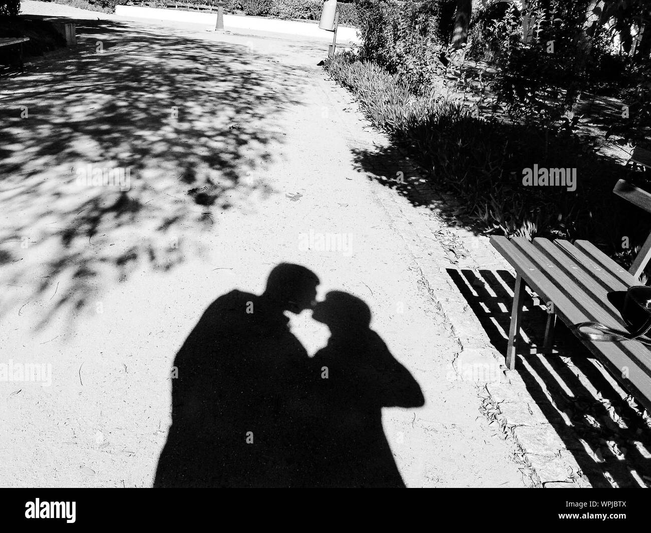 La sombra de la pareja besándose en el parque Fotografía de stock - Alamy La sombra de la pareja besándose en el parque Fotografía de stock - Alamy