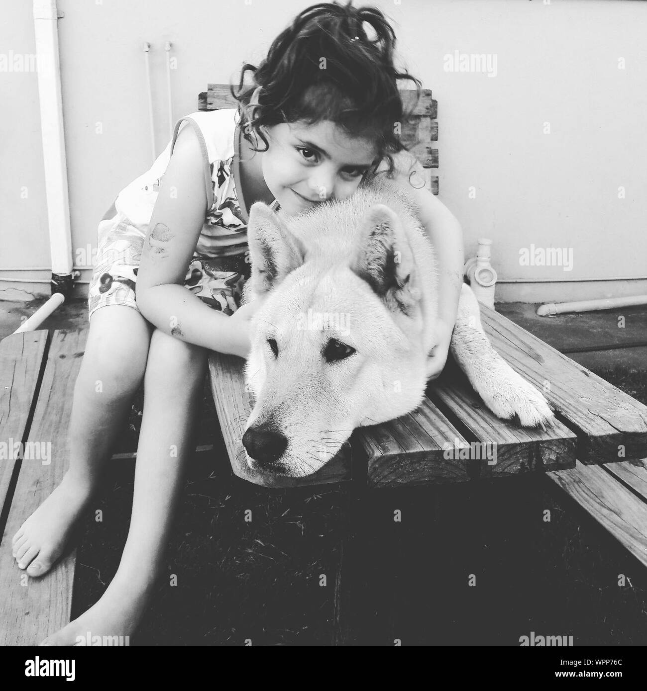 Retrato de niña abrazando perro lobo mientras estaba sentado en un banco Foto de stock