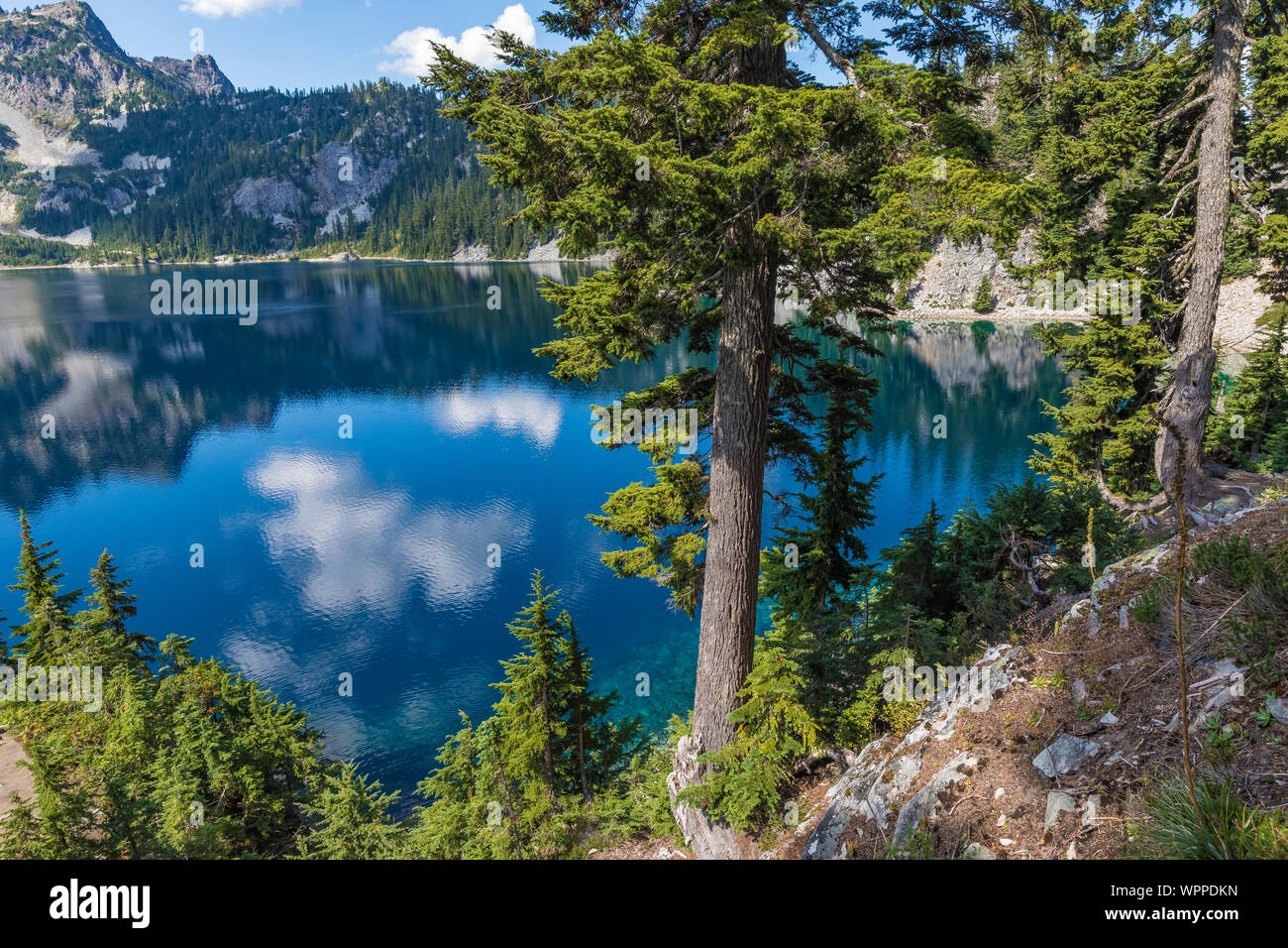 Montaña, Tsuga mertensiana Hemlocks, al borde del lago, a lo largo de