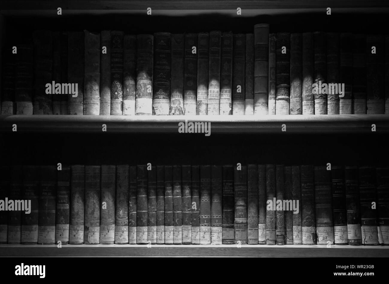Los libros en los estantes Foto de stock