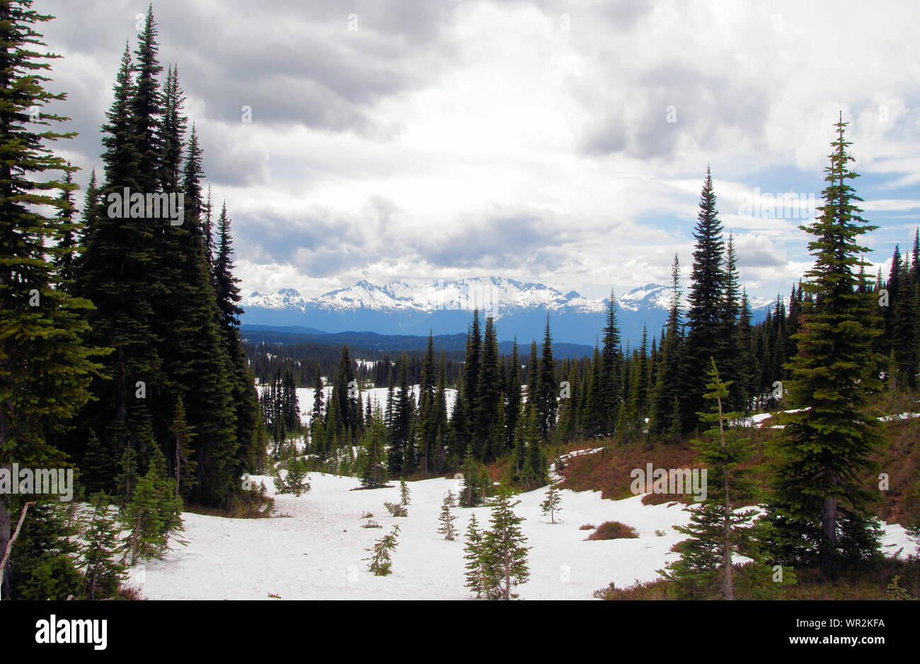 Una vista alpina de Tantalus cordillera visto desde Garibaldi