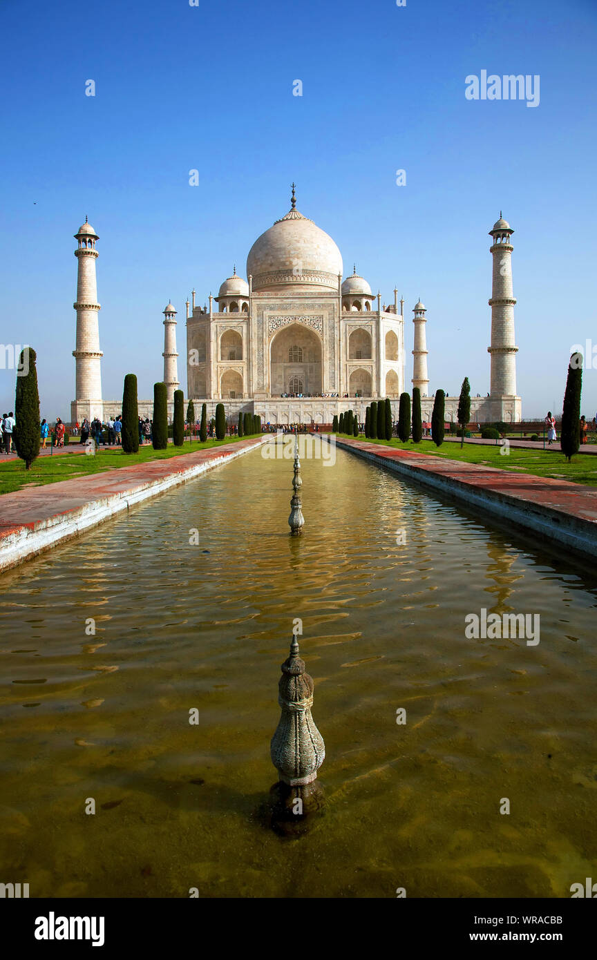 Ángulo de visión baja de Taj Mahal en frente de la piscina reflectante contra el cielo claro Foto de stock