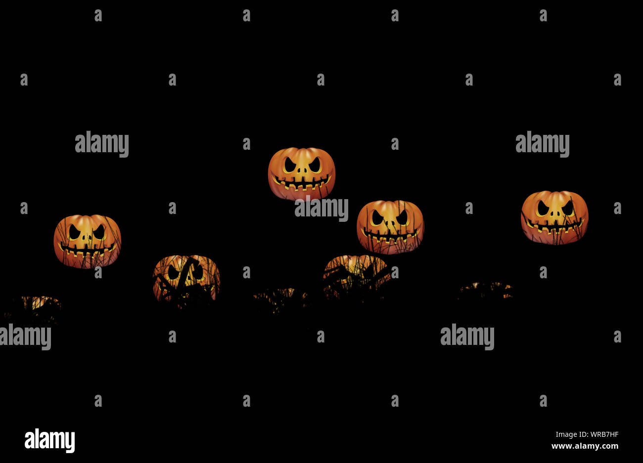 Las calabazas en darknesson flotante en la noche de Halloween Fotografía de  stock - Alamy