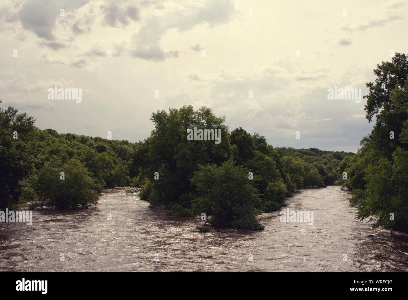 Árboles en río inundado contra el cielo nublado Foto de stock