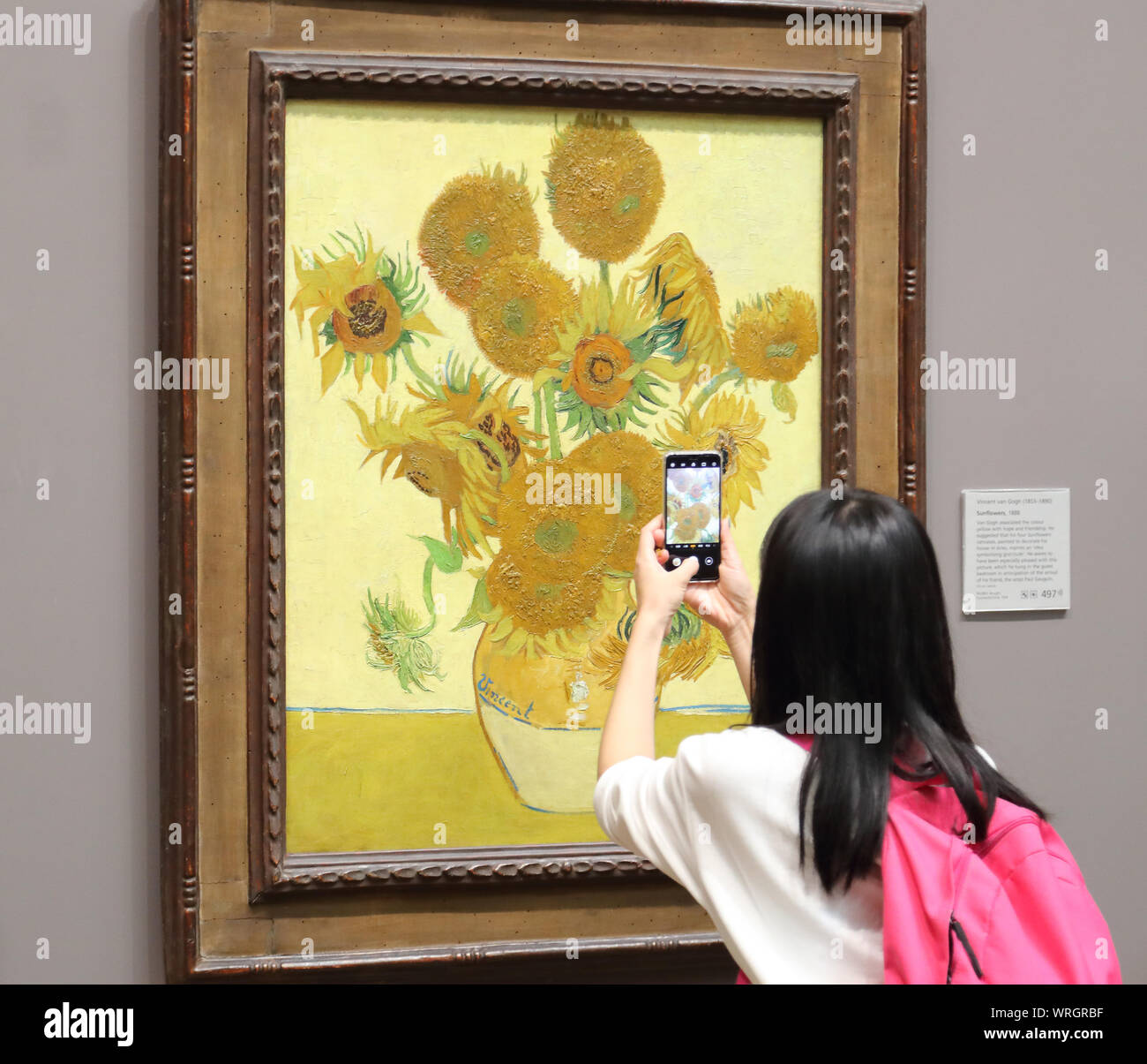Mujer joven tomando una foto de Vincent van Gogh's girasoles con su smartphone a la National Gallery, Londres, Reino Unido. Foto de stock