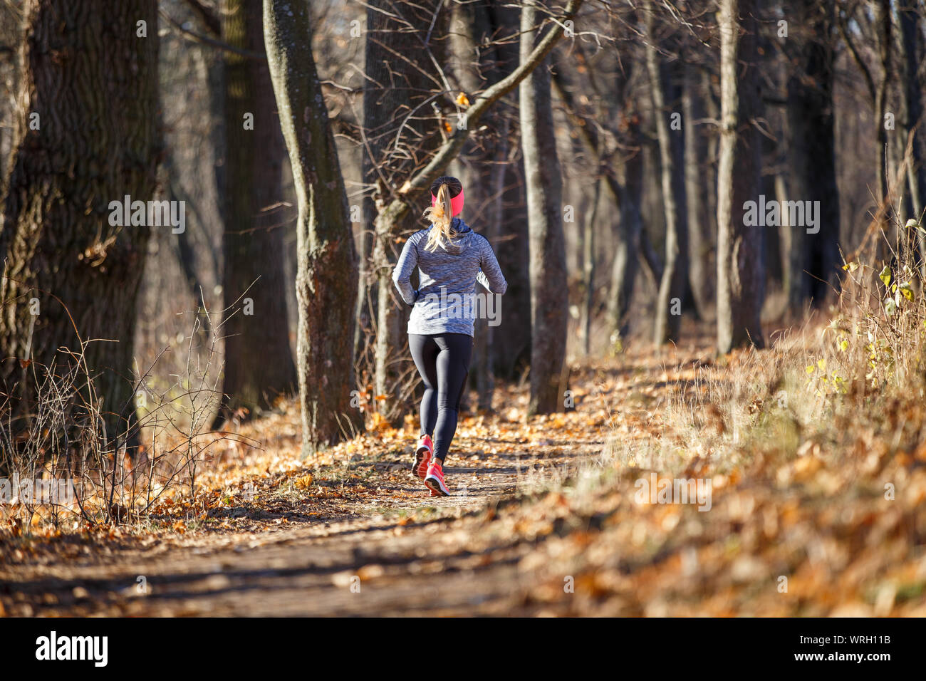 Joven Mujer fitness corriendo en el parque en la mañana de otoño. Vida sana de fondo para correr Foto de stock