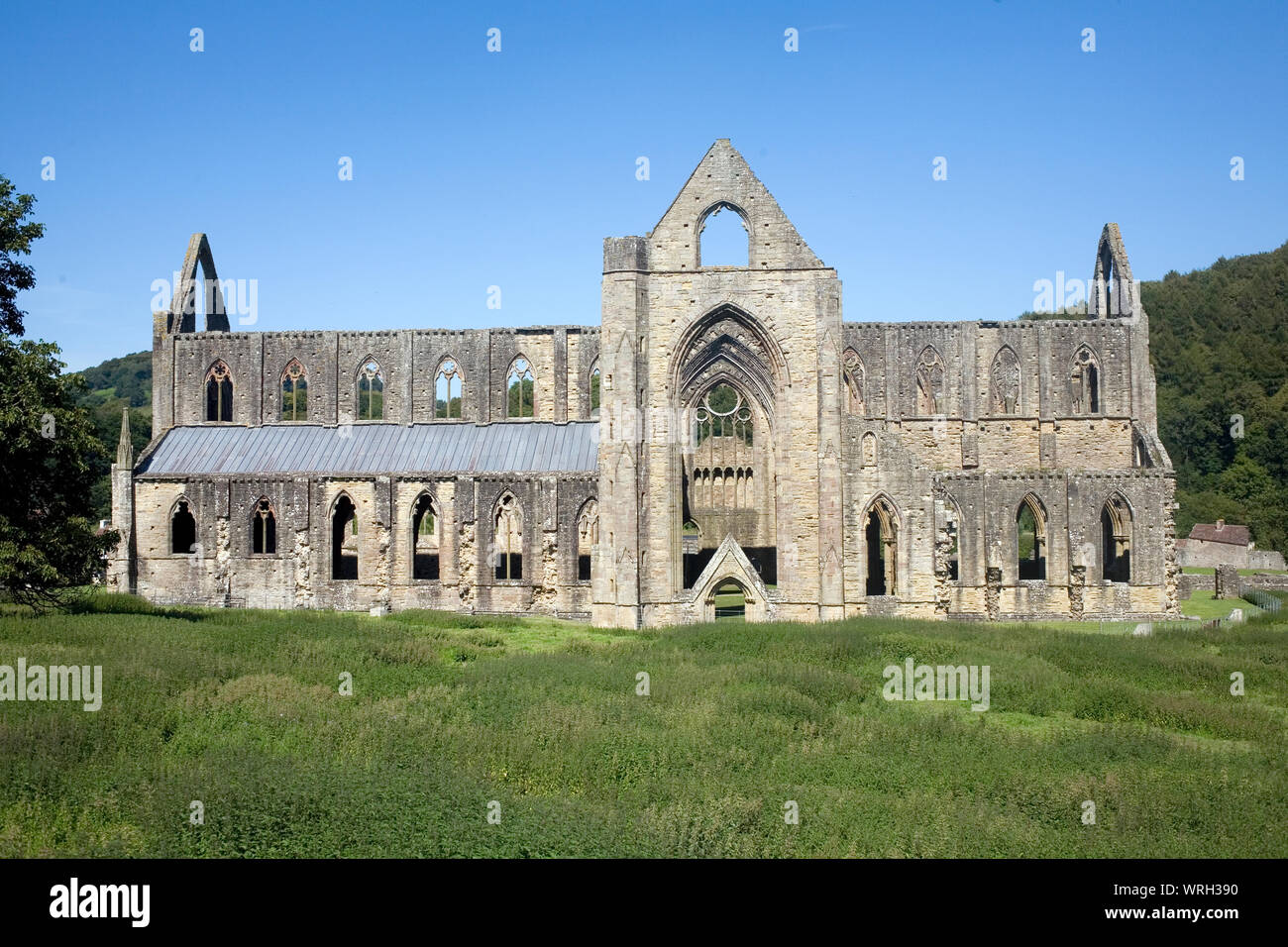Ruinas de la abadía de Tintern con pasto pradera en primer plano Foto de stock