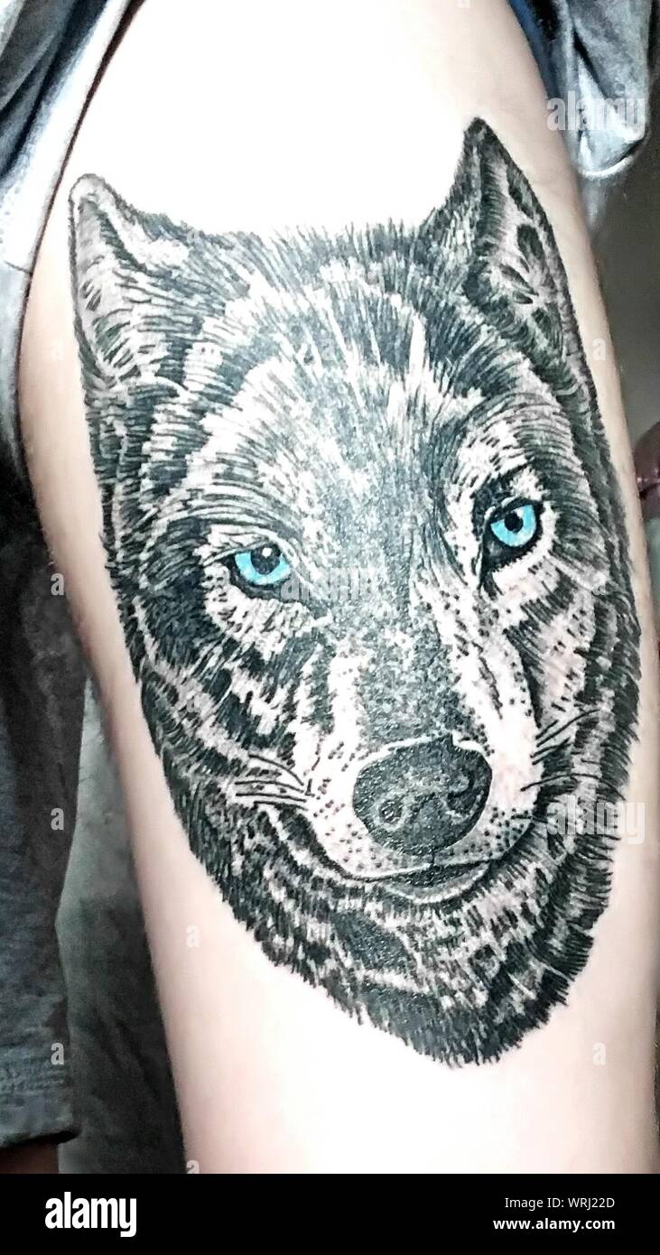 Wolf tattoo fotografías e imágenes de alta resolución - Alamy