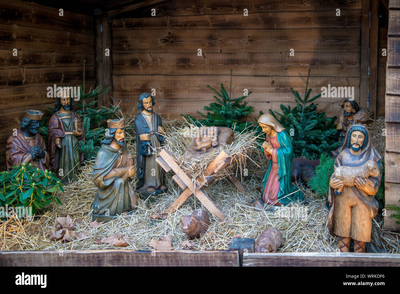 Doncella oveja Doncella Pesebre navideño grandes figuras en luz diaria Fotografía de stock - Alamy