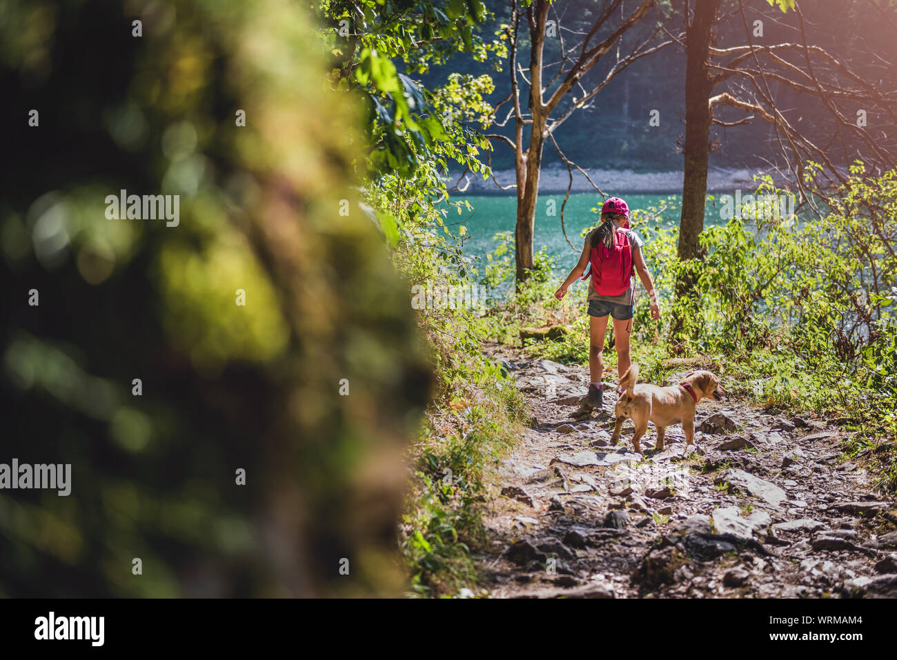 Chica con un pequeño perro amarillo caminatas por el lago Foto de stock