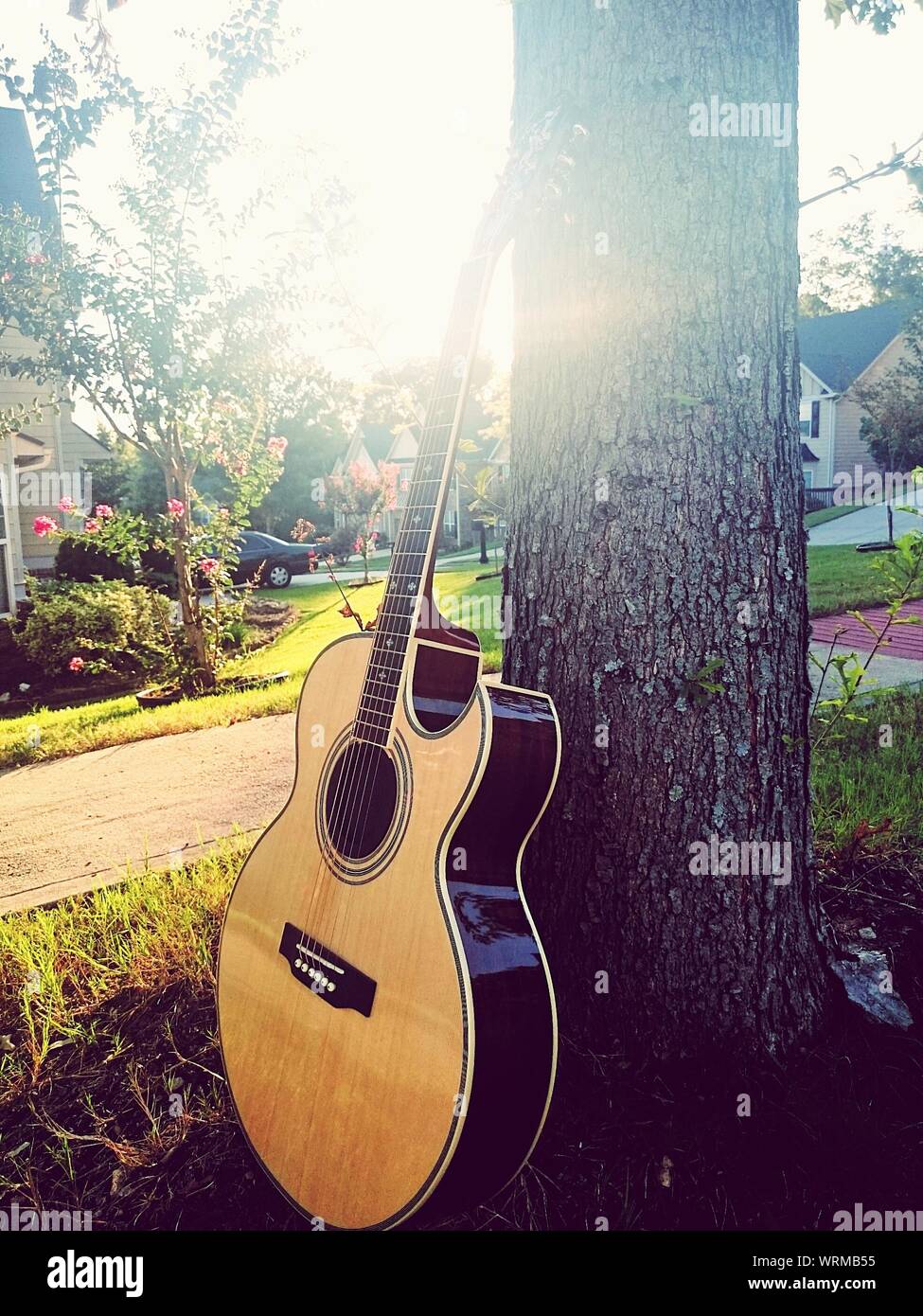 Apoyándose en la guitarra del tronco de un árbol en el patio de atrás  Fotografía de stock - Alamy