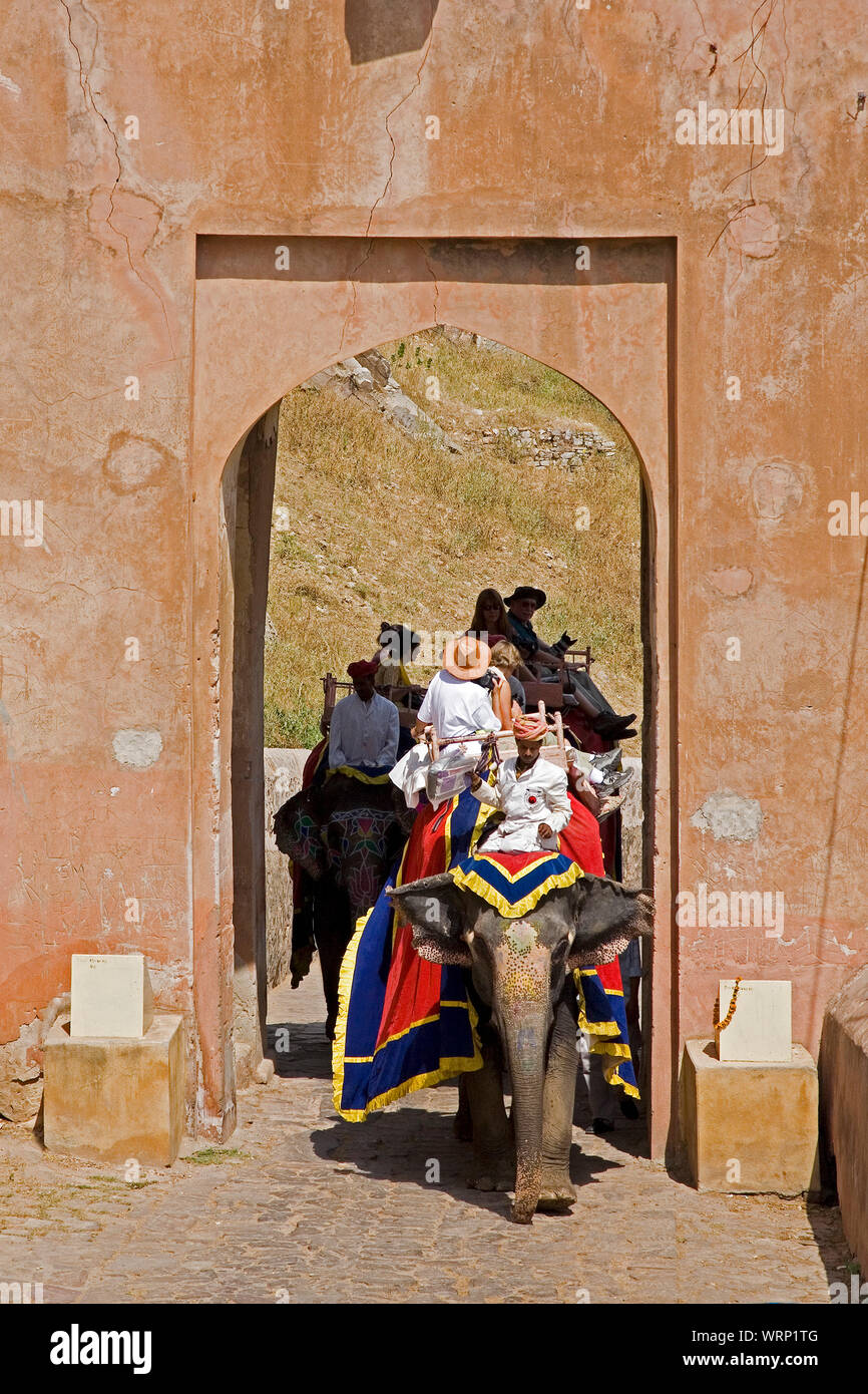 Rajasthan, India, 2 de septiembre de 2019 Los elefantes se utilizan para traer turistas hasta el Fuerte Amber templo en Rajasthán, Jaipur, India Foto de stock