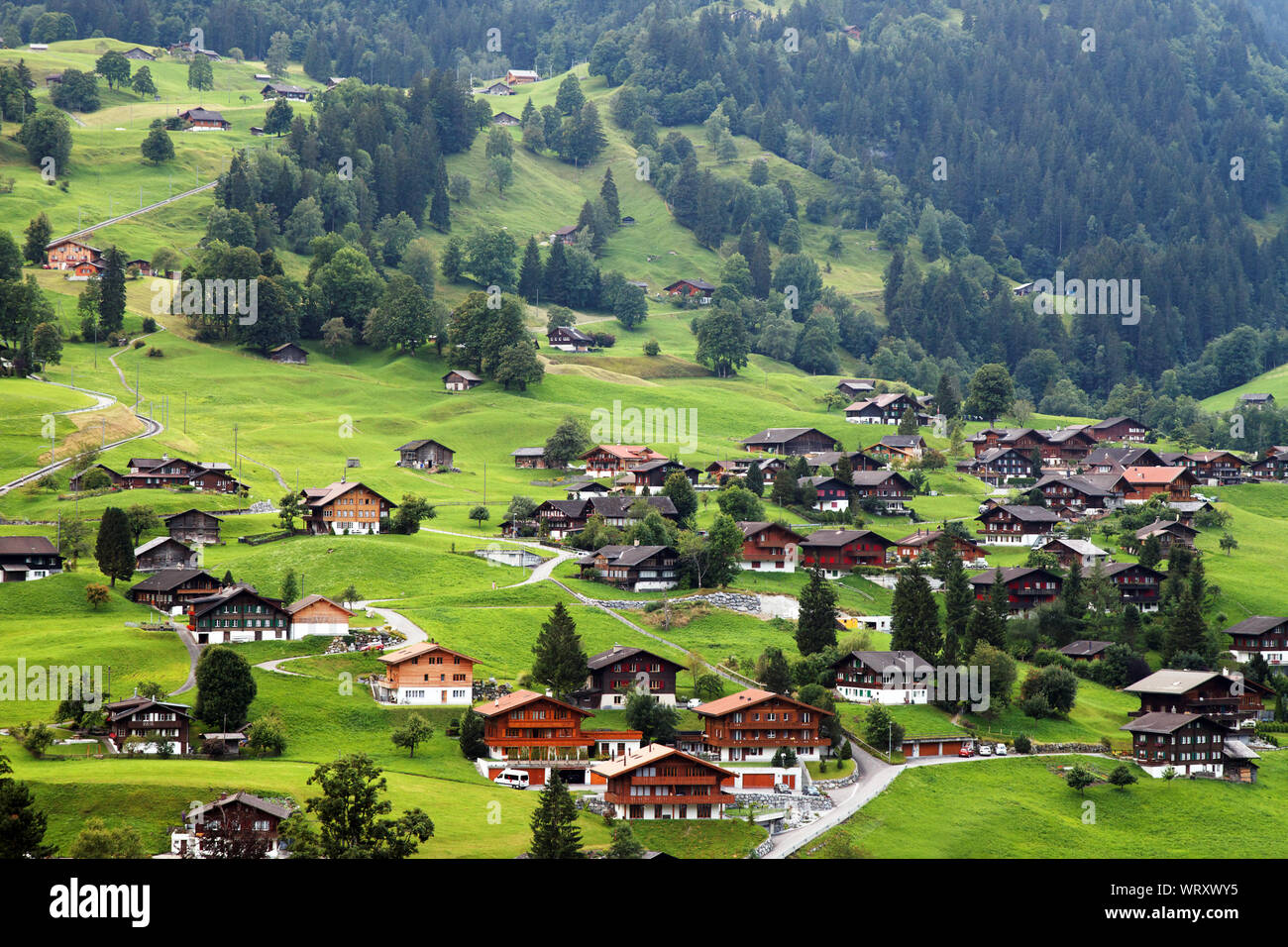 Grindelwald poblado por árboles en campo de hierba en Alpes Suizos  Fotografía de stock - Alamy