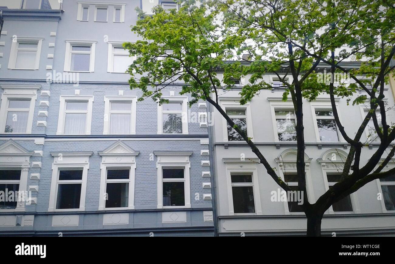 Edificio con árboles en segundo plano. Foto de stock