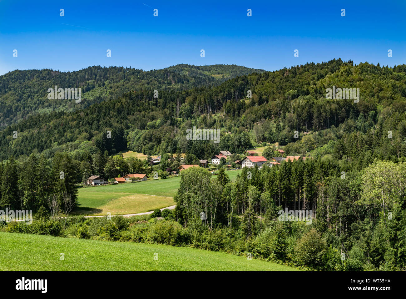 Montaña paisaje de colinas cubiertas de bosques y casas de campo con el cielo azul,focus area en casas de campo.Alta Saboya en Francia. Foto de stock