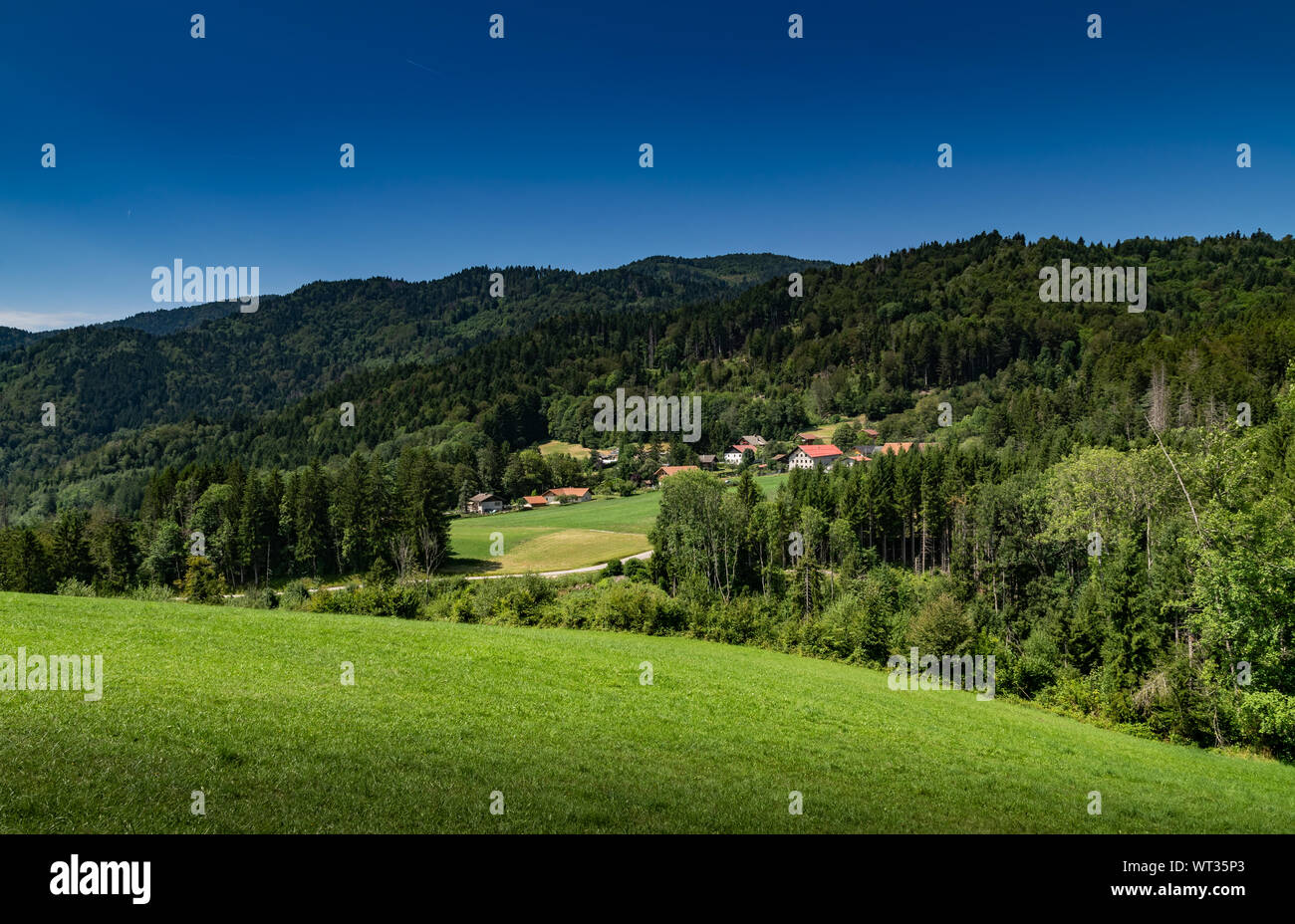 Montaña paisaje de colinas cubiertas de bosques y casas de campo con el cielo azul,focus area en casas de campo.Alta Saboya en Francia. Foto de stock