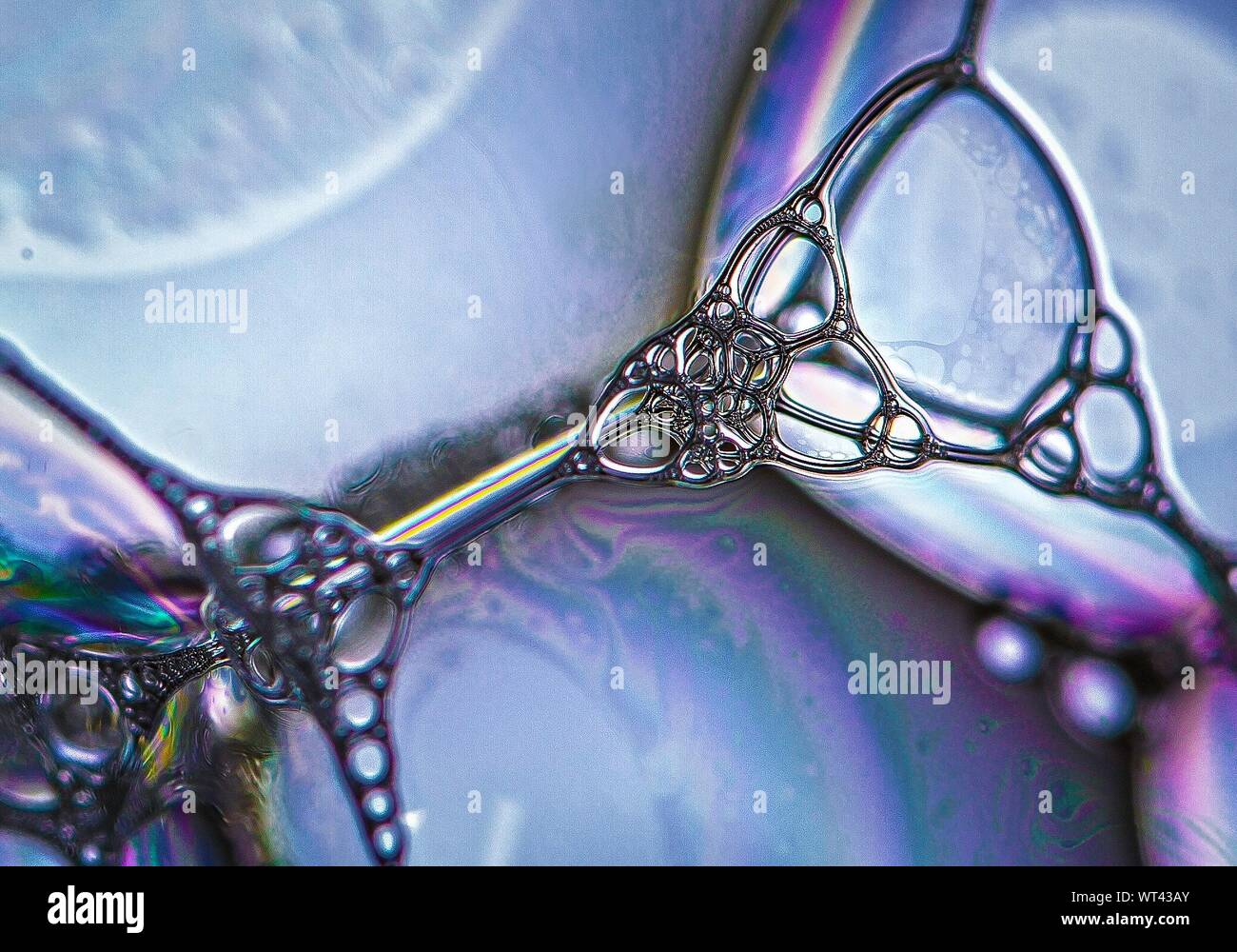 Close-up de las células microscópicas Foto de stock