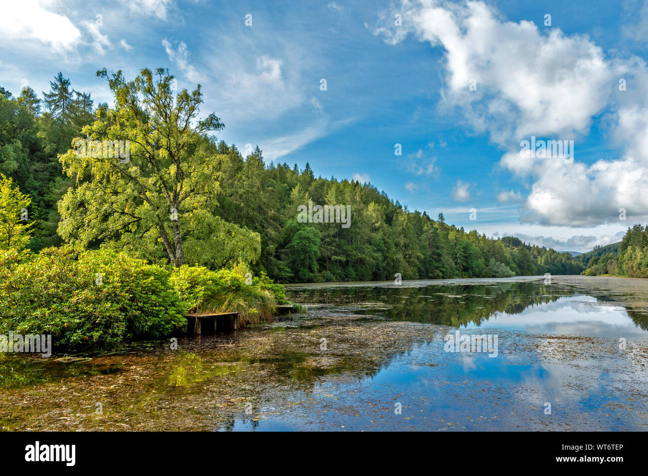 Lago Park Adventure Centre DRUMMUIR MORAY Escocia El Boathouse y el