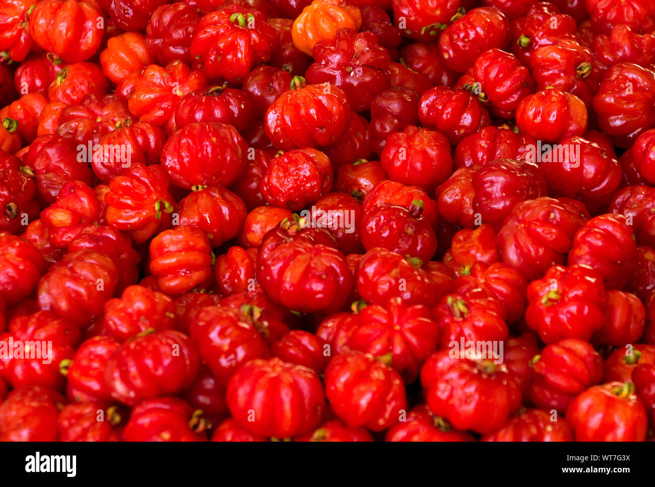 Disparo de fotograma completo de reliquia de tomates para la venta en el mercado Foto de stock
