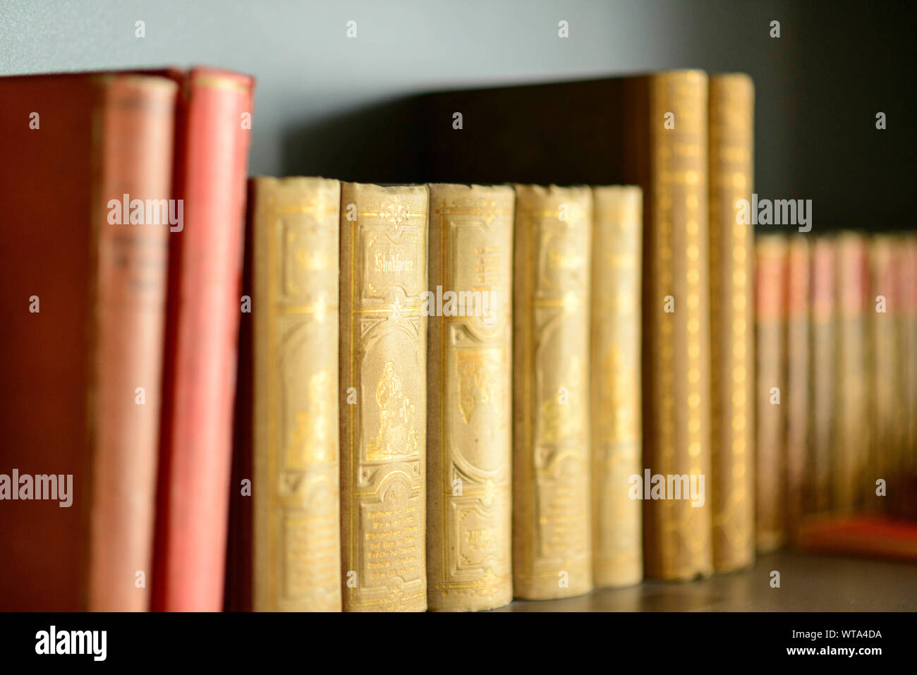 Coleccionable antiguo libro volúmenes bookshef enfoque selectivo Foto de stock