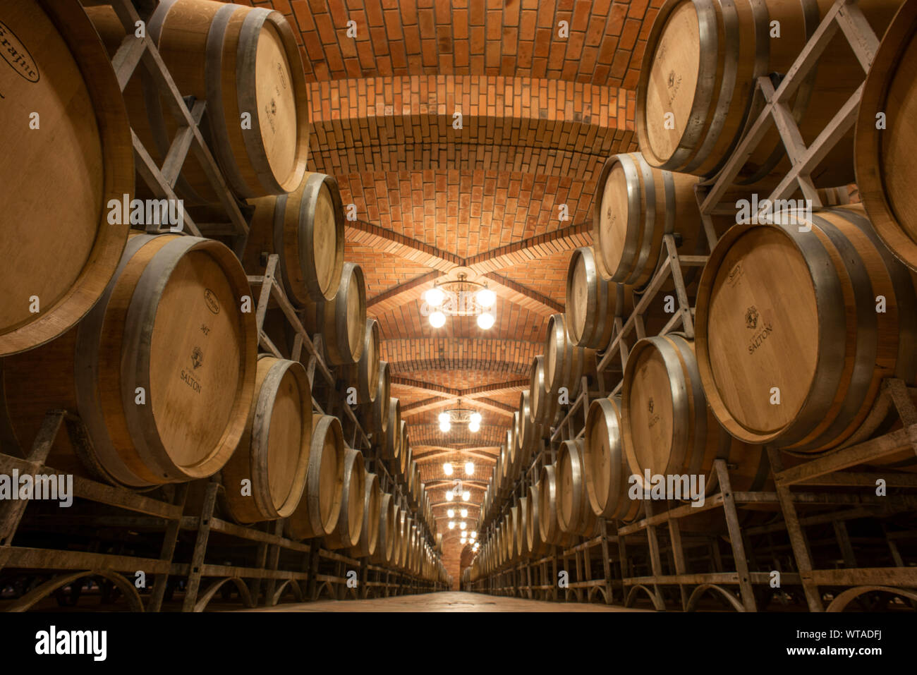 Barriles de vino en una bodega de Brasil Foto de stock