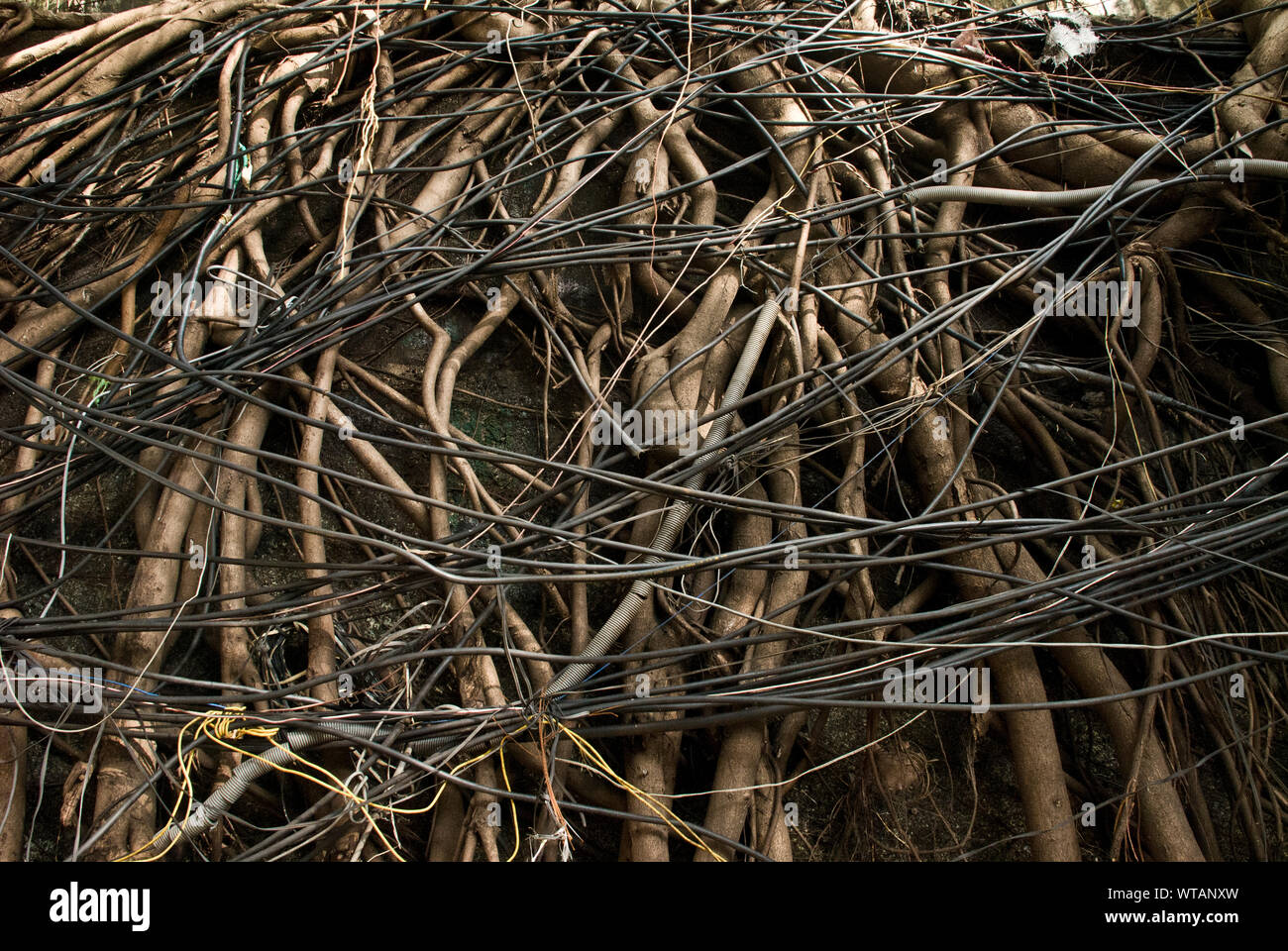 El caos de cables y cables en una instalación eléctrica Foto de stock