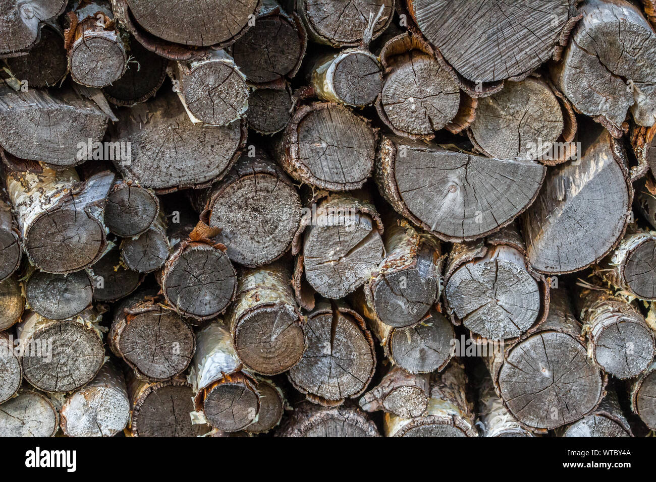 Un montón de bien-sazonado ovenwood Foto de stock