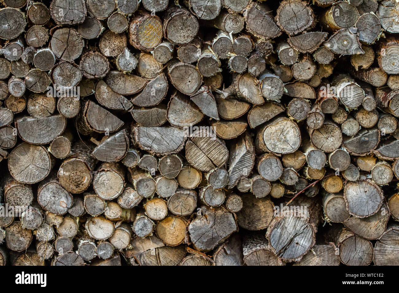 Un montón de bien-sazonado ovenwood Foto de stock
