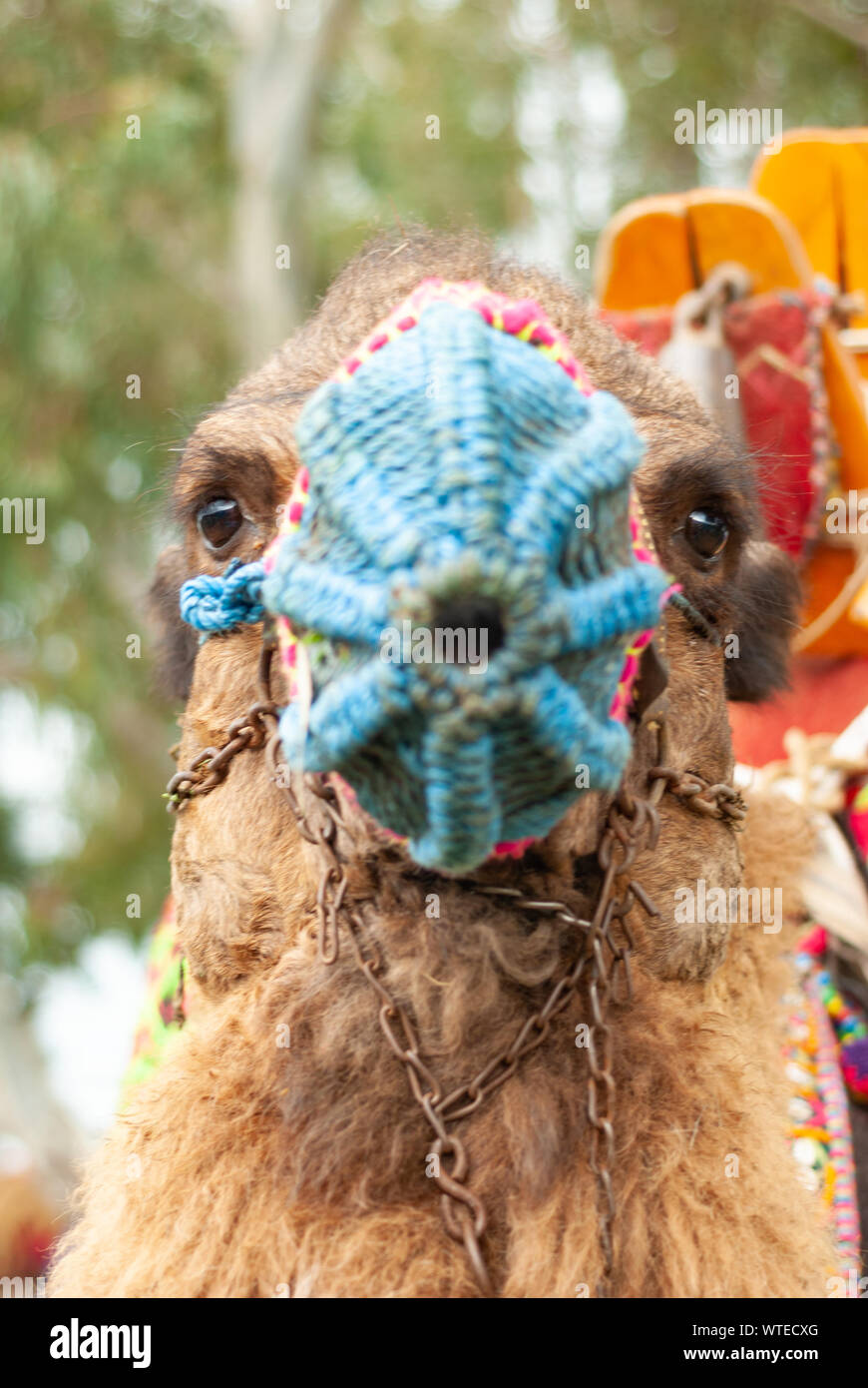 Ropa de fotografías e imágenes de alta resolución