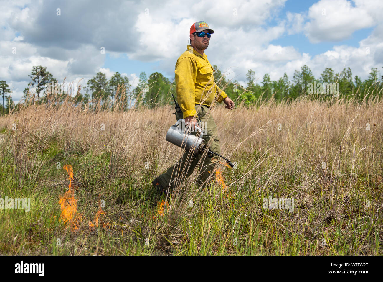 Quema prescrita para restaurar la salud del ecosistema, en el antiguo banco de mitigación de la Florida en el condado de Pasco, Florida, Estados Unidos. Foto de stock