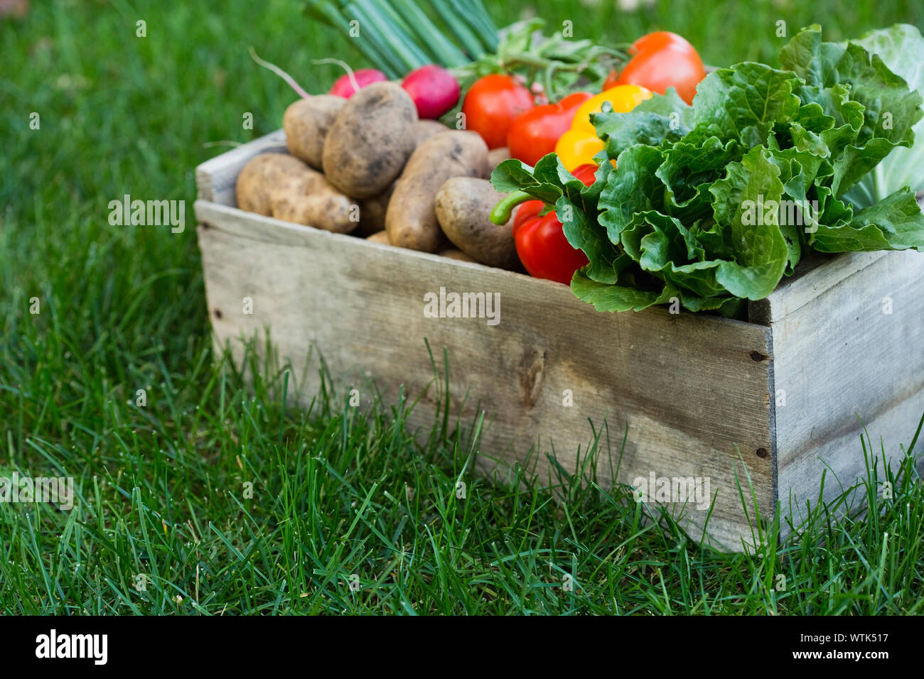 Caja de madera con verduras frescas sobre el césped Foto de stock