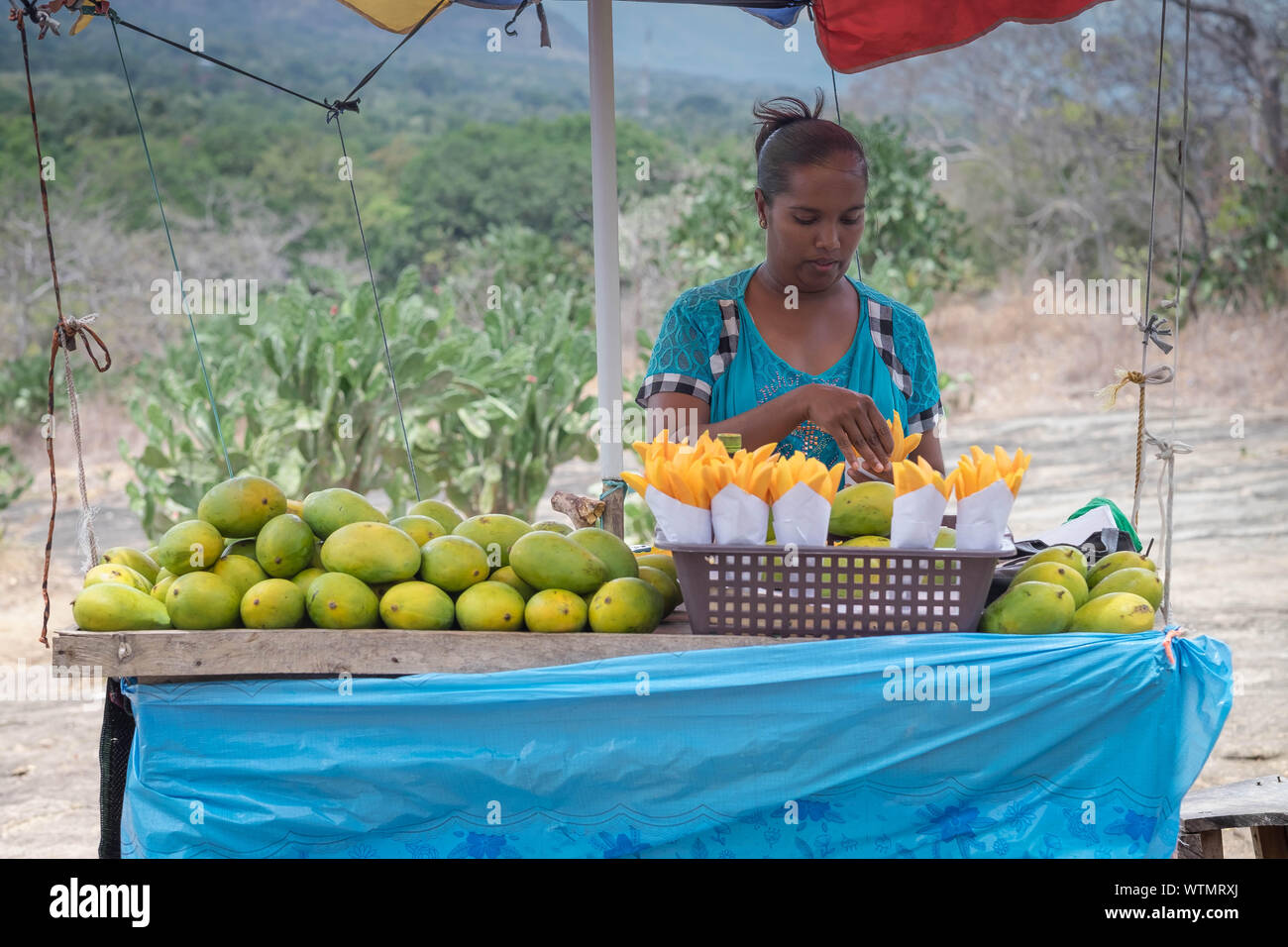 SRI LANKA SIGIRIYA, agosto 06-2019: inespecíficas mujer vendiendo el mango en su mesa, es vendedor local en Sri Lanka Fotografía de stock - Alamy