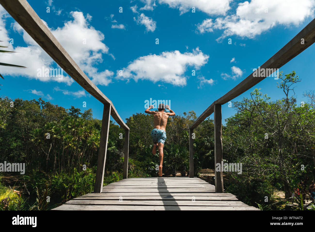 Vista posterior del varón de mediana edad saltando de plataforma en Cenote Crystal Foto de stock