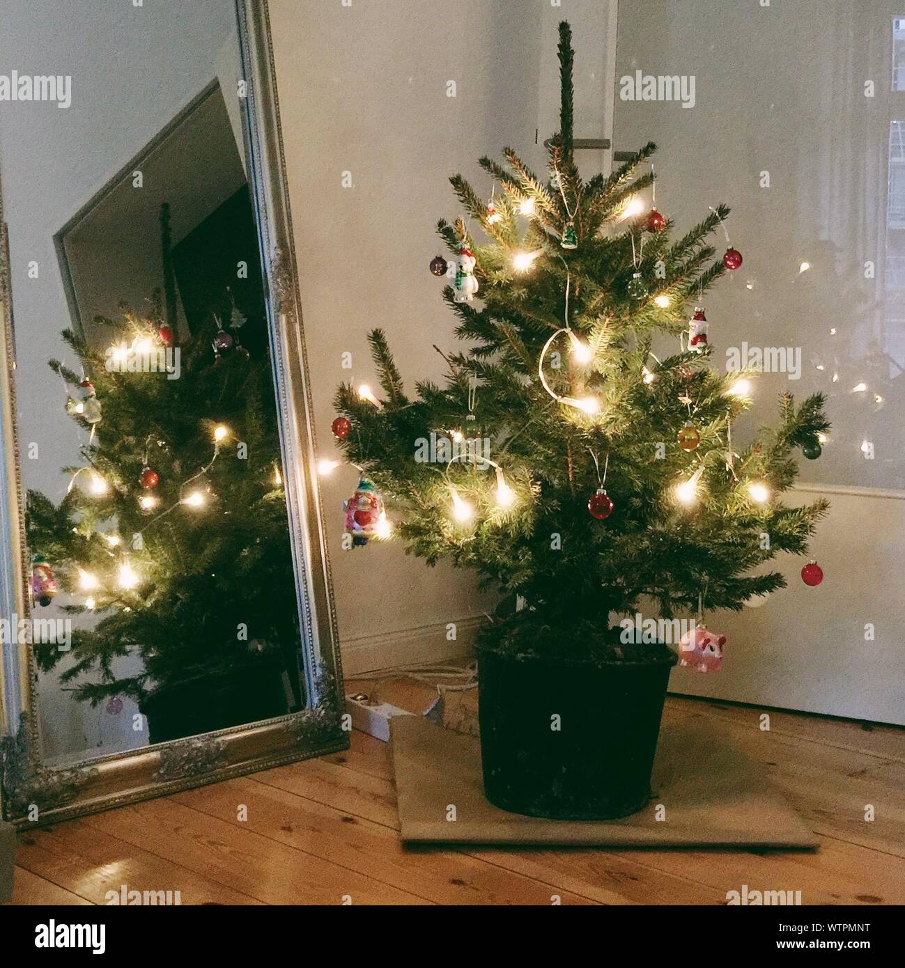 Árbol de Navidad se refleja en el espejo Fotografía de stock - Alamy