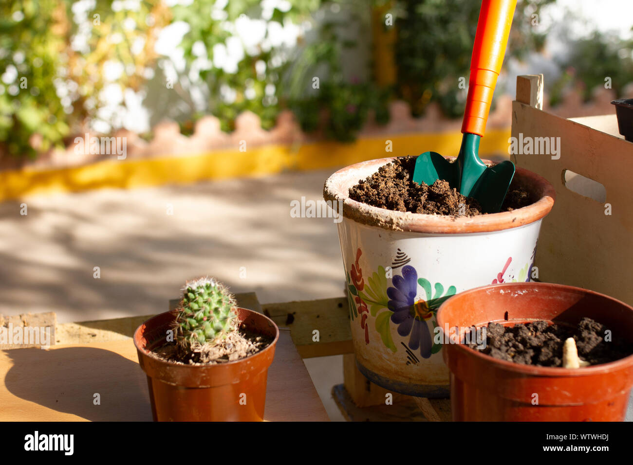 Piedra, plástico y macetas de cerámica de colores llena de arena con  empujón Fotografía de stock - Alamy