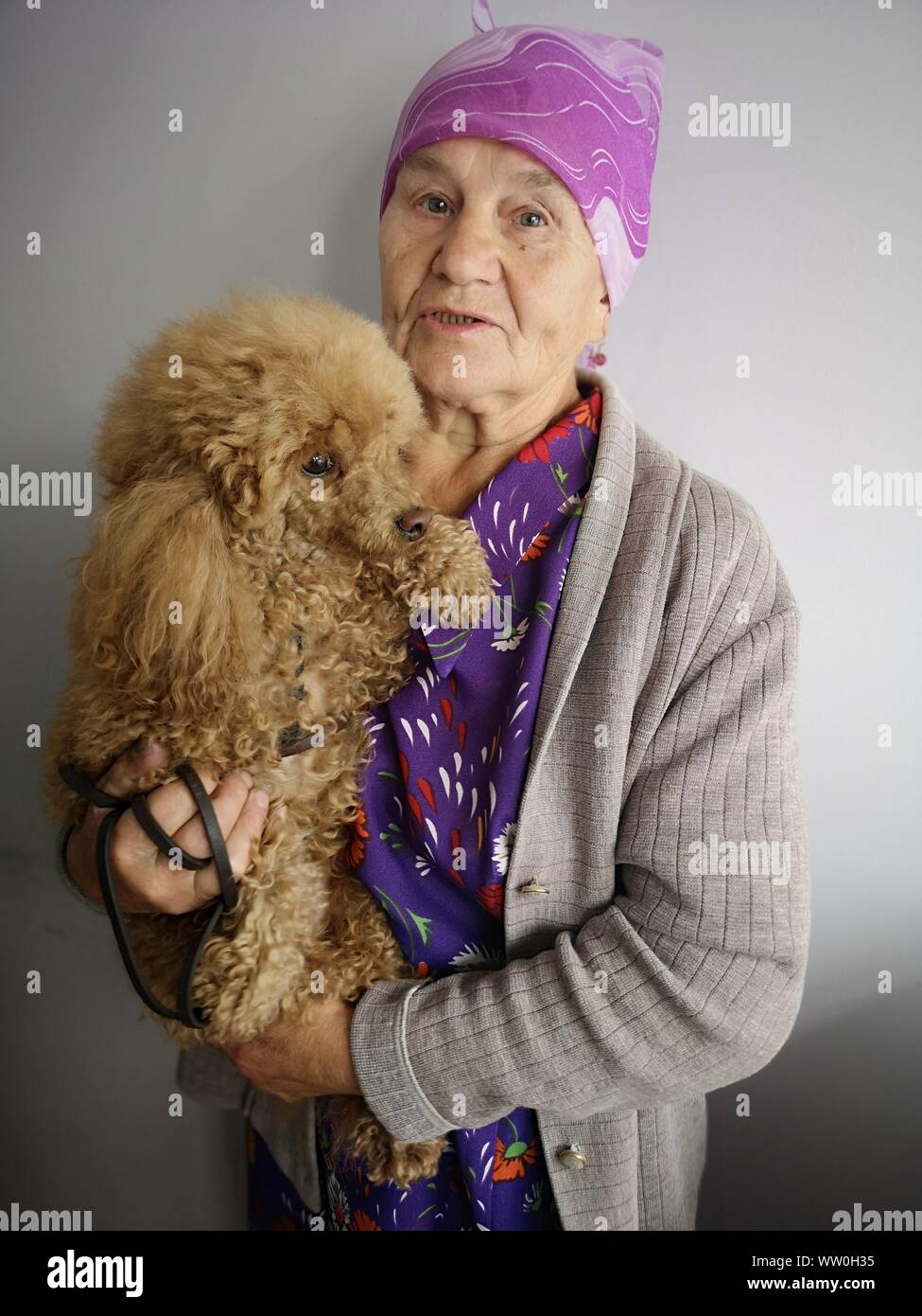 Caniche Real Fotos E Imagenes De Stock Alamy