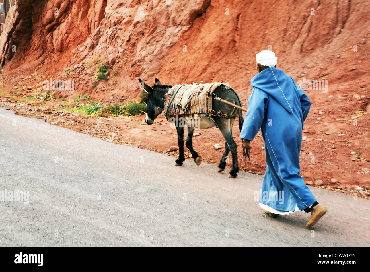 Vista trasera del hombre caminando por burro en carretera Foto de stock