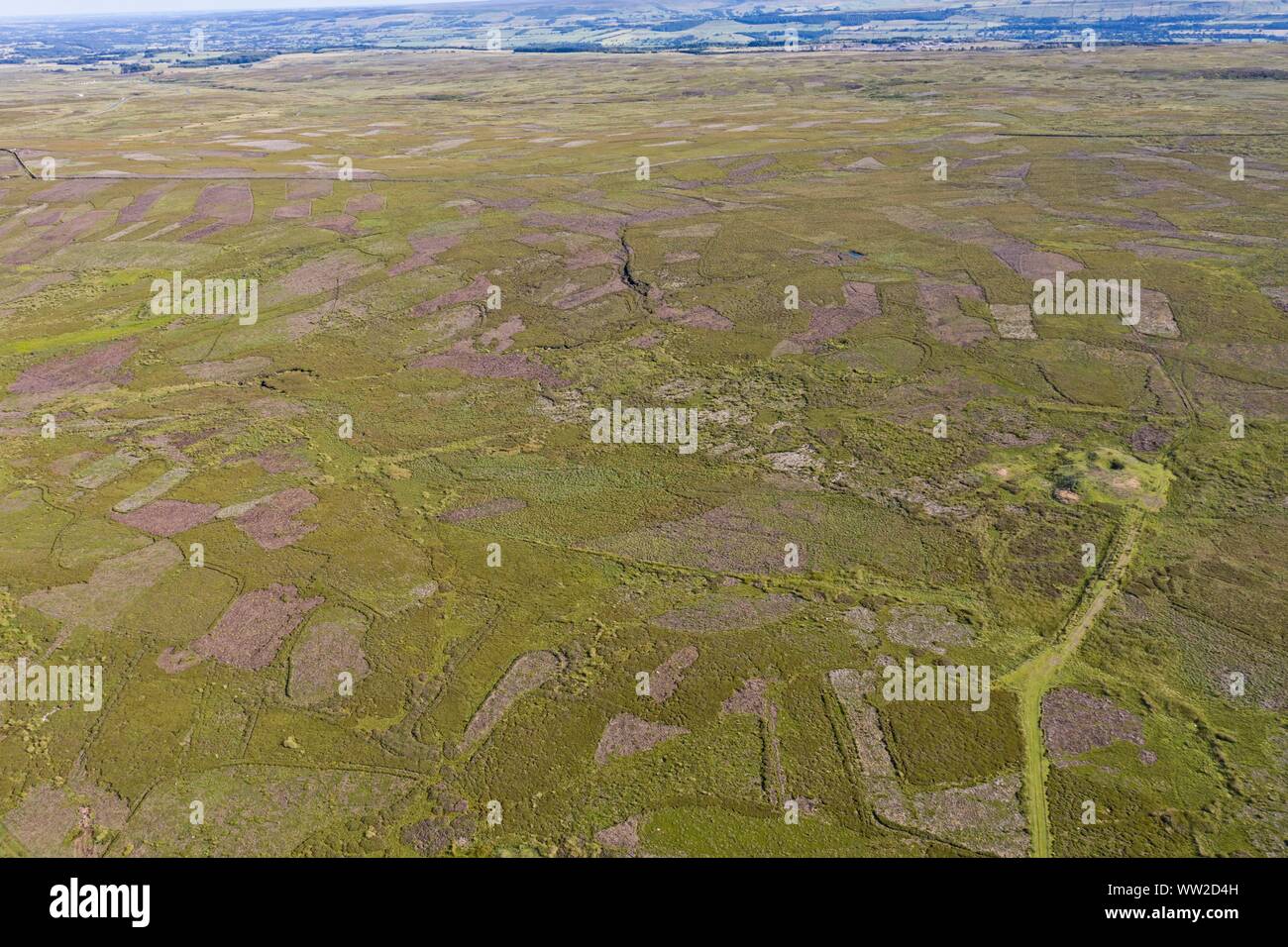 Arriba Swaledale Grinton Moor en Yorkshire Dales, Julio. Imagen aérea mostrando patchwork patrón donde moro ha sido quemados en rotación para maximizar ha. Foto de stock