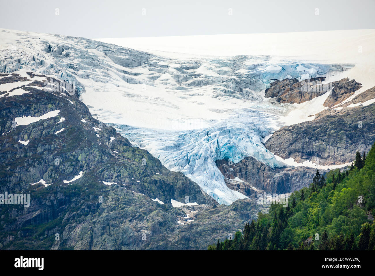 El glaciar Folgefonna cap en las montañas con bosques en primer plano, Odda, región de Hardanger, condado de Hordaland, Noruega Foto de stock