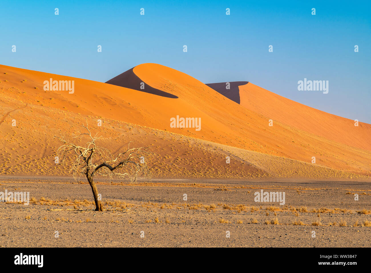 Las dunas de arena, Sossusvlei, Parque Nacional Namib-Naukluft Sesriem, Namibia Foto de stock