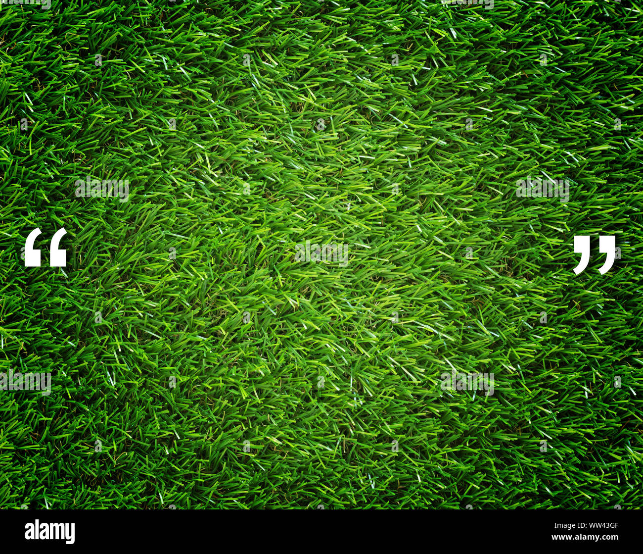 Comillas y copie el espacio sobre el pasto verde de fondo, el concepto de comunicación Foto de stock